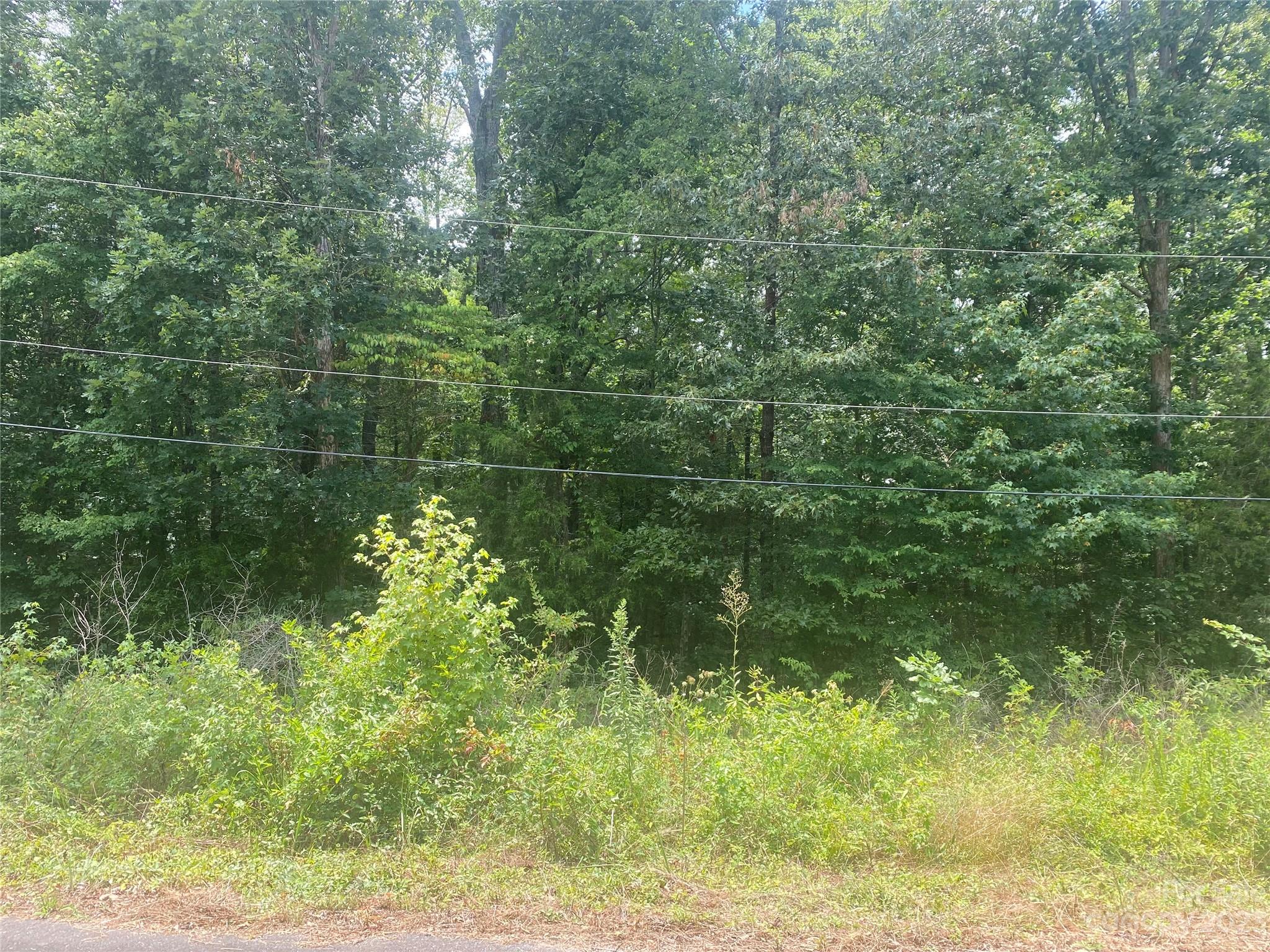 Tbd Wilderness Lane, Unit 18 Lancaster, SC 29720 - Photo 4 of 14 a view of a garden