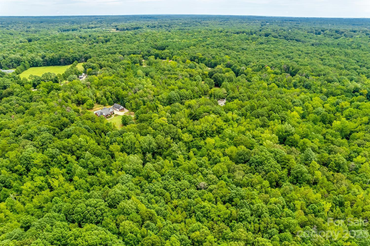 Tbd Wilderness Lane, Unit 18 Lancaster, SC 29720 - Photo 8 of 14 a view of a lush green forest with trees in the background
