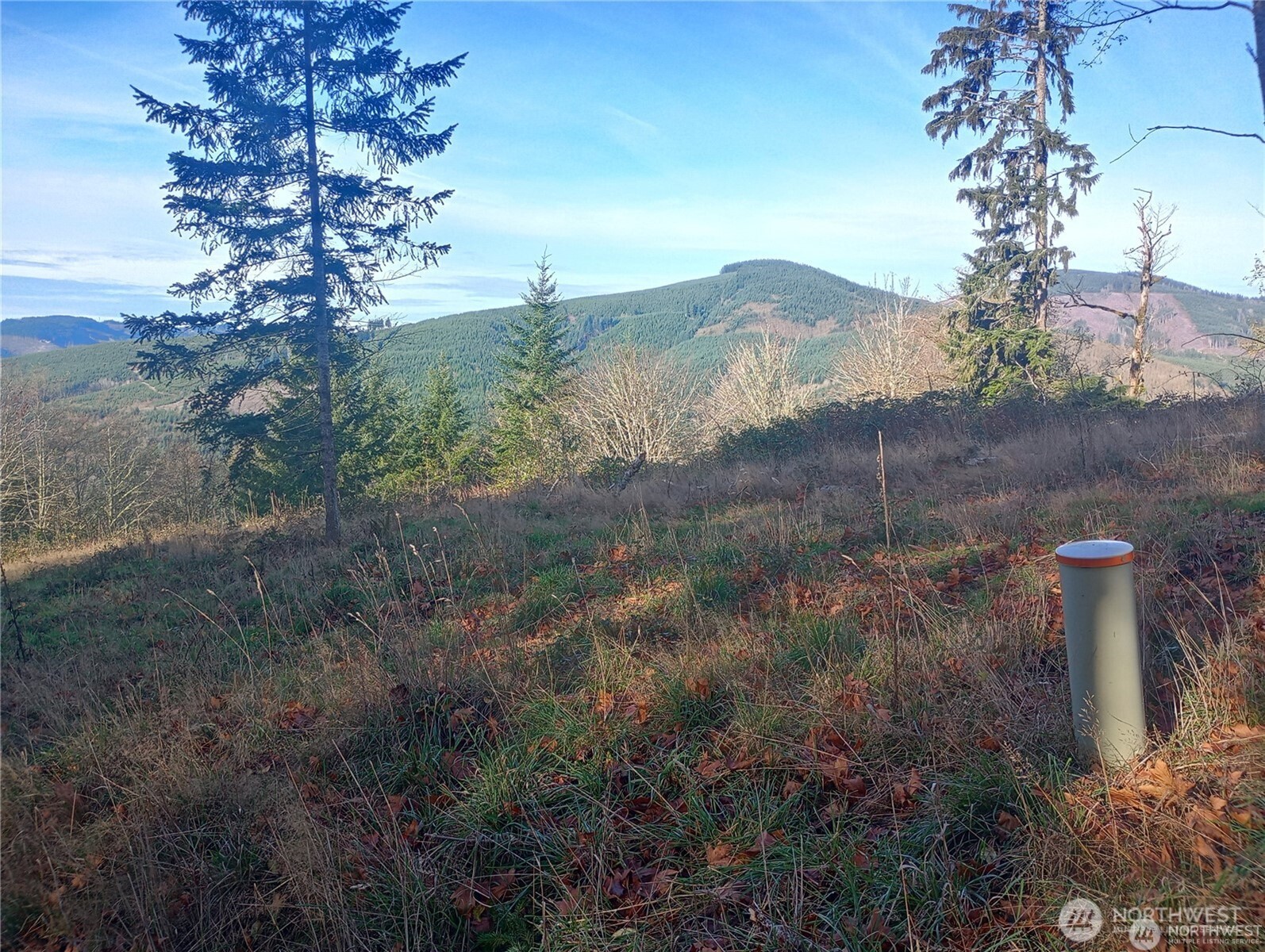 167 Wagner Road Kelso, WA 98626 - Photo 2 of 8