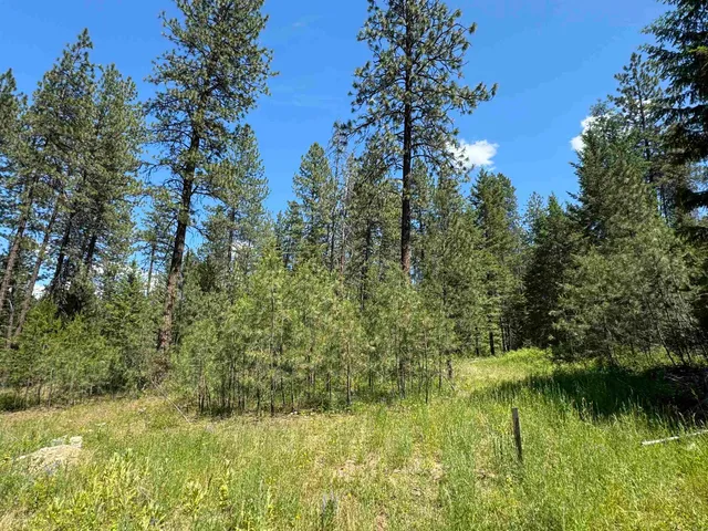 $68,000 | 620 North A Street, Unit LOT #1, Springdale, WA 99173