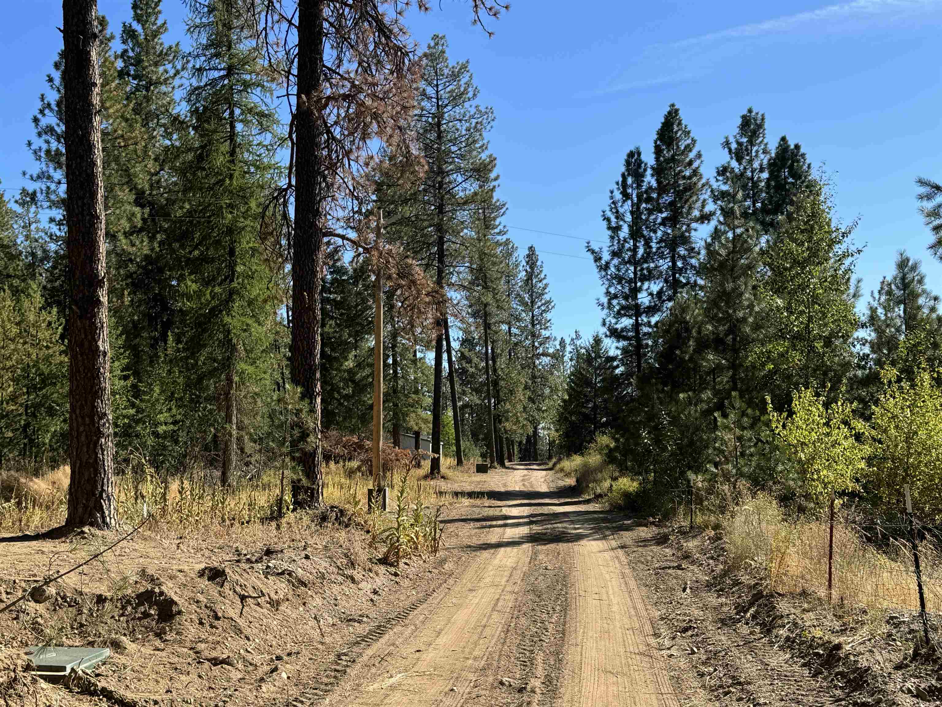 620 North A Street, Unit LOT #1 Springdale, WA 99173 - Photo 4 of 12