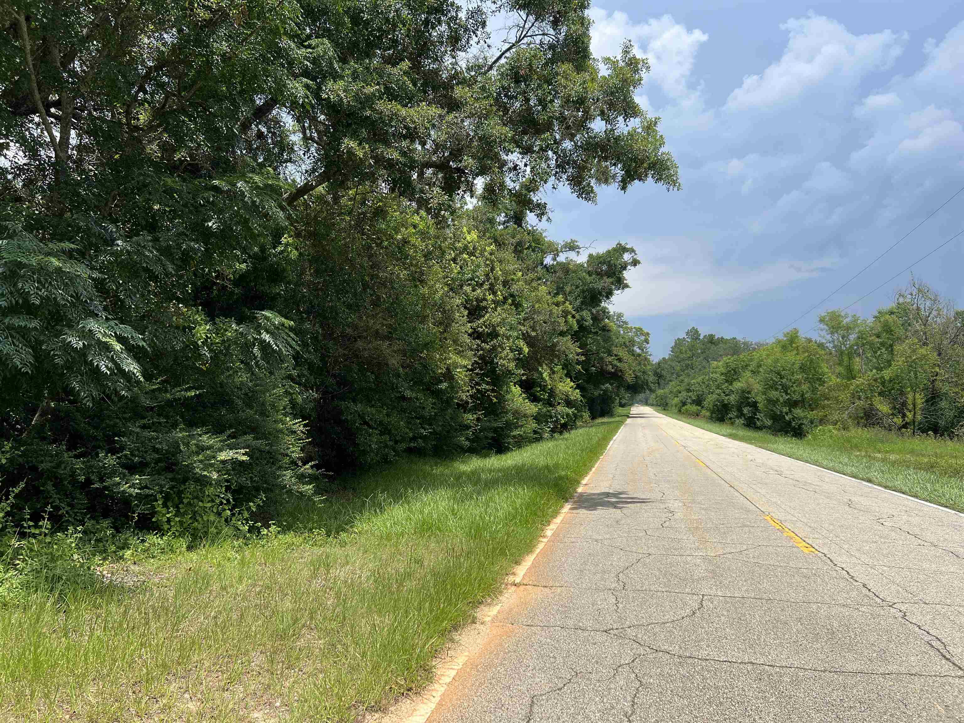 Xx Xx Max Herrin Road Quincy, FL 32352 - Photo 44 of 46