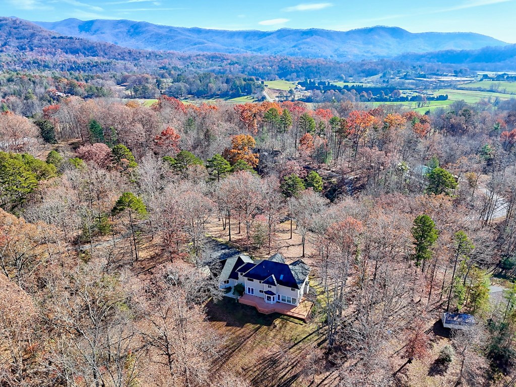 838 Peachtree Hills Road Murphy, NC 28906 - Photo 12 of 92