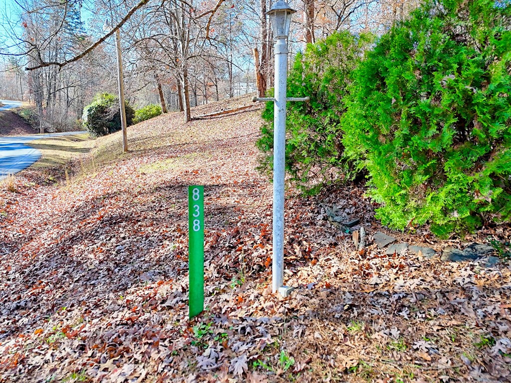 838 Peachtree Hills Road Murphy, NC 28906 - Photo 3 of 92