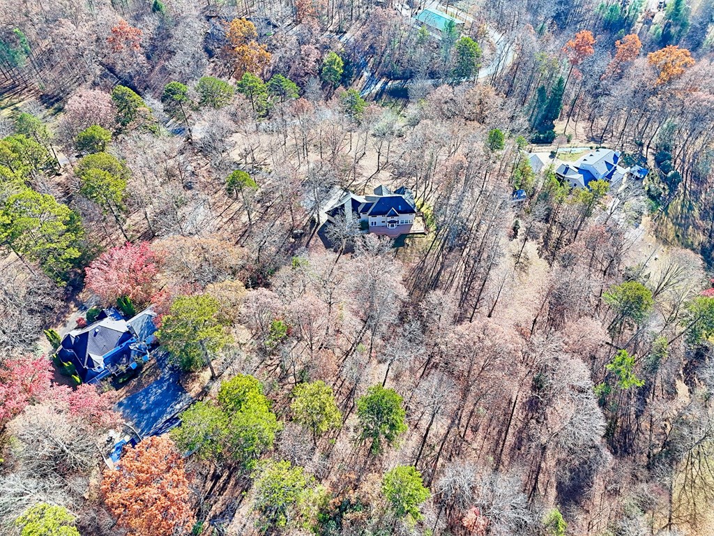 838 Peachtree Hills Road Murphy, NC 28906 - Photo 7 of 92