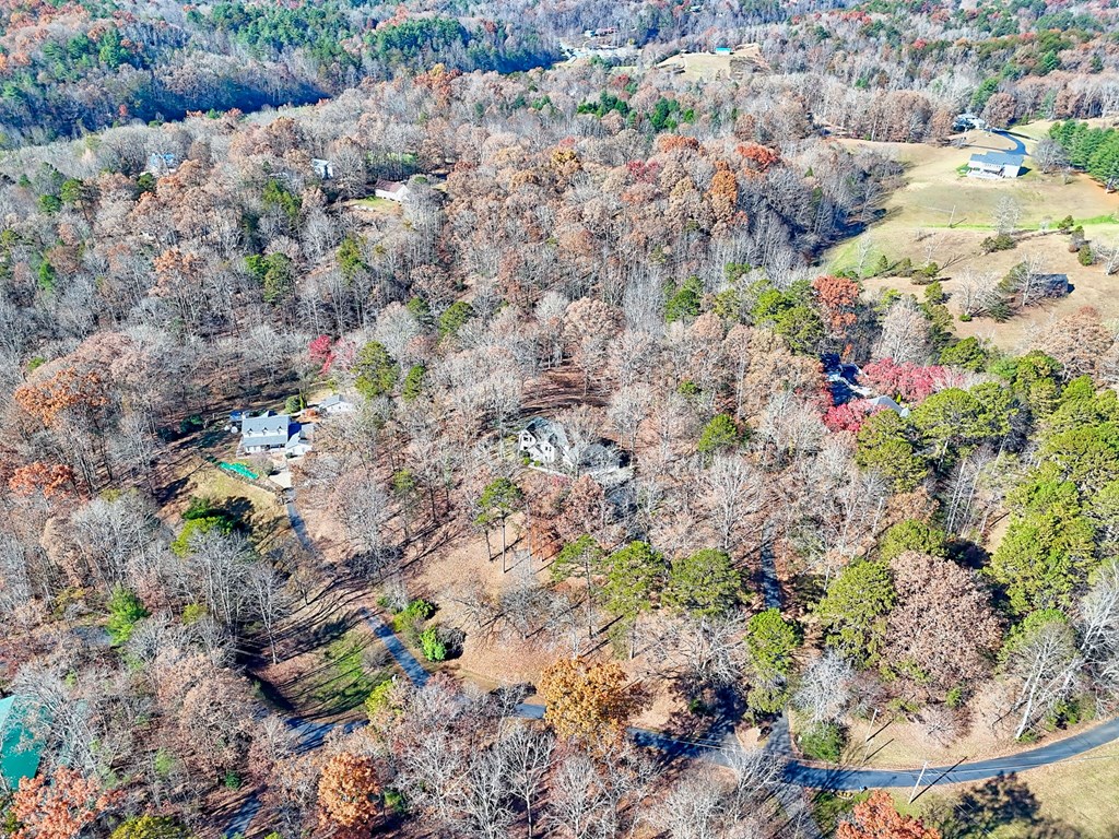 838 Peachtree Hills Road Murphy, NC 28906 - Photo 8 of 92