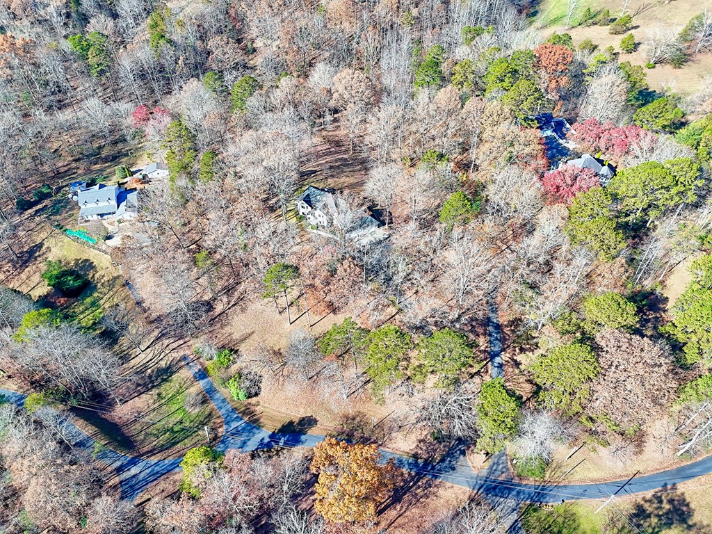 838 Peachtree Hills Road Murphy, NC 28906 - Photo 9 of 92