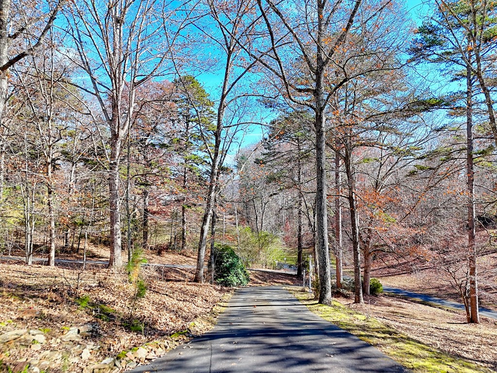 838 Peachtree Hills Road Murphy, NC 28906 - Photo 92 of 92 a backyard of a house with lots of green space