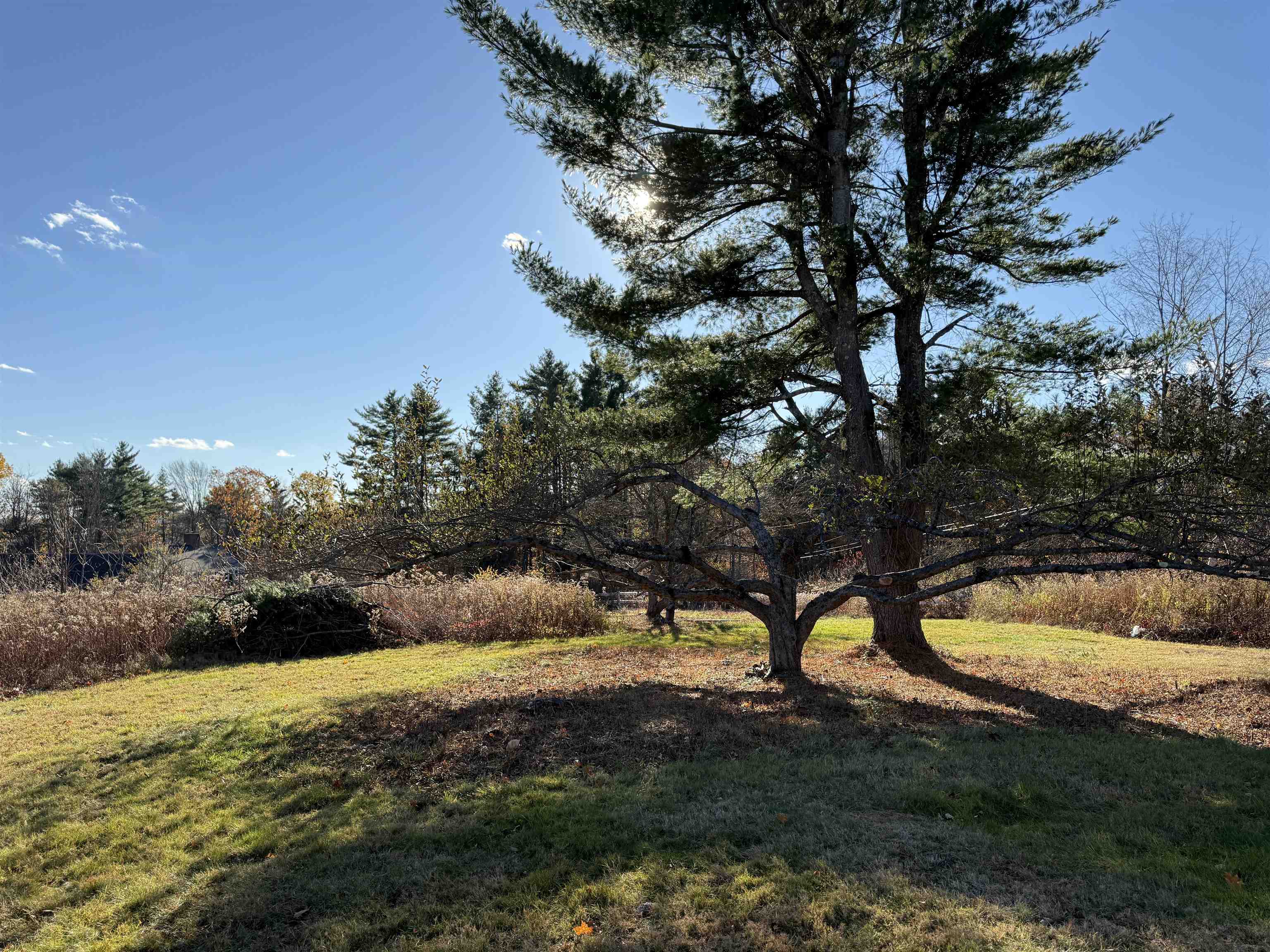 144 Putnam Hill Road Lyndeborough, NH 03082 - Photo 49 of 60