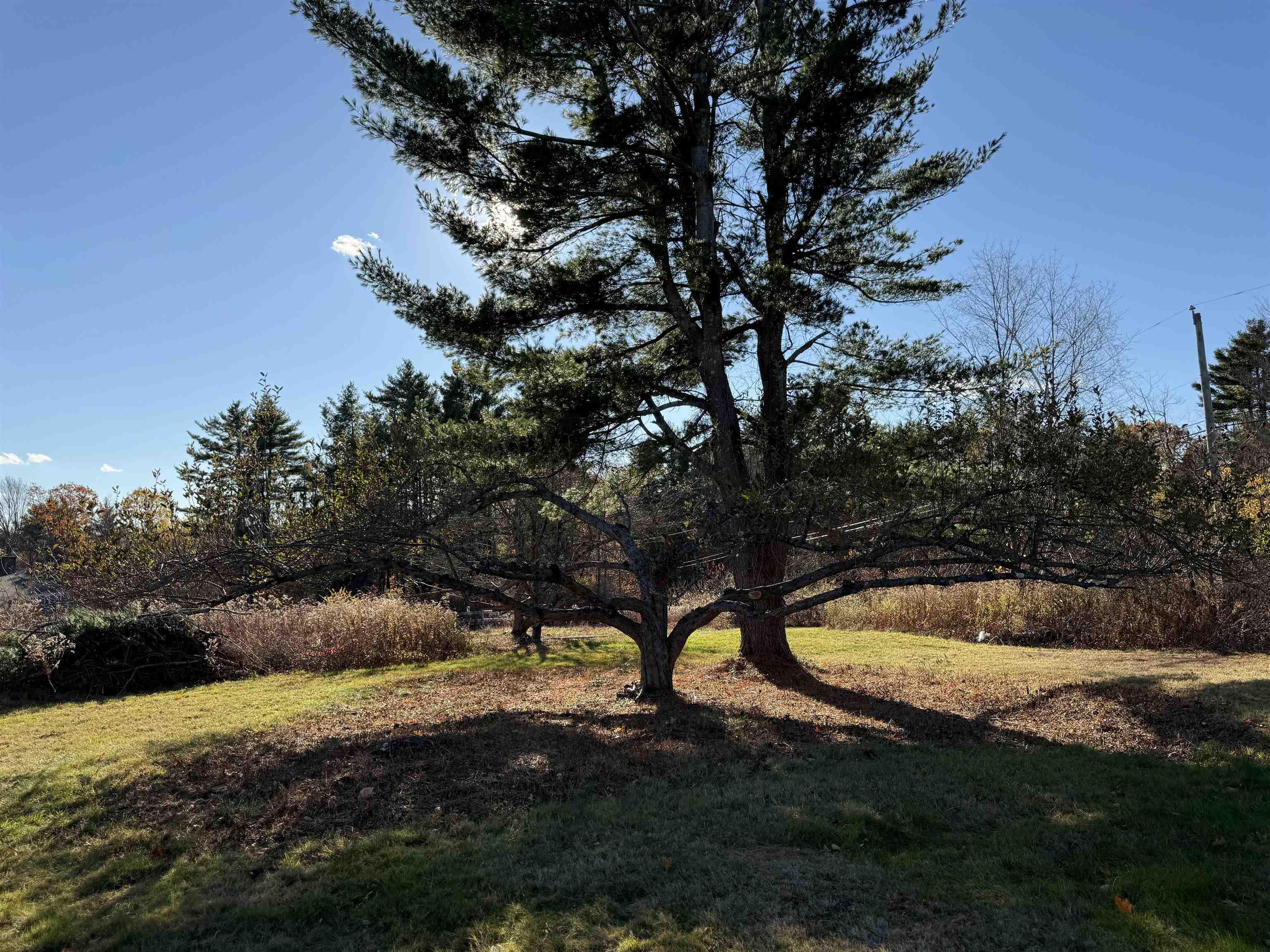 144 Putnam Hill Road Lyndeborough, NH 03082 - Photo 50 of 60