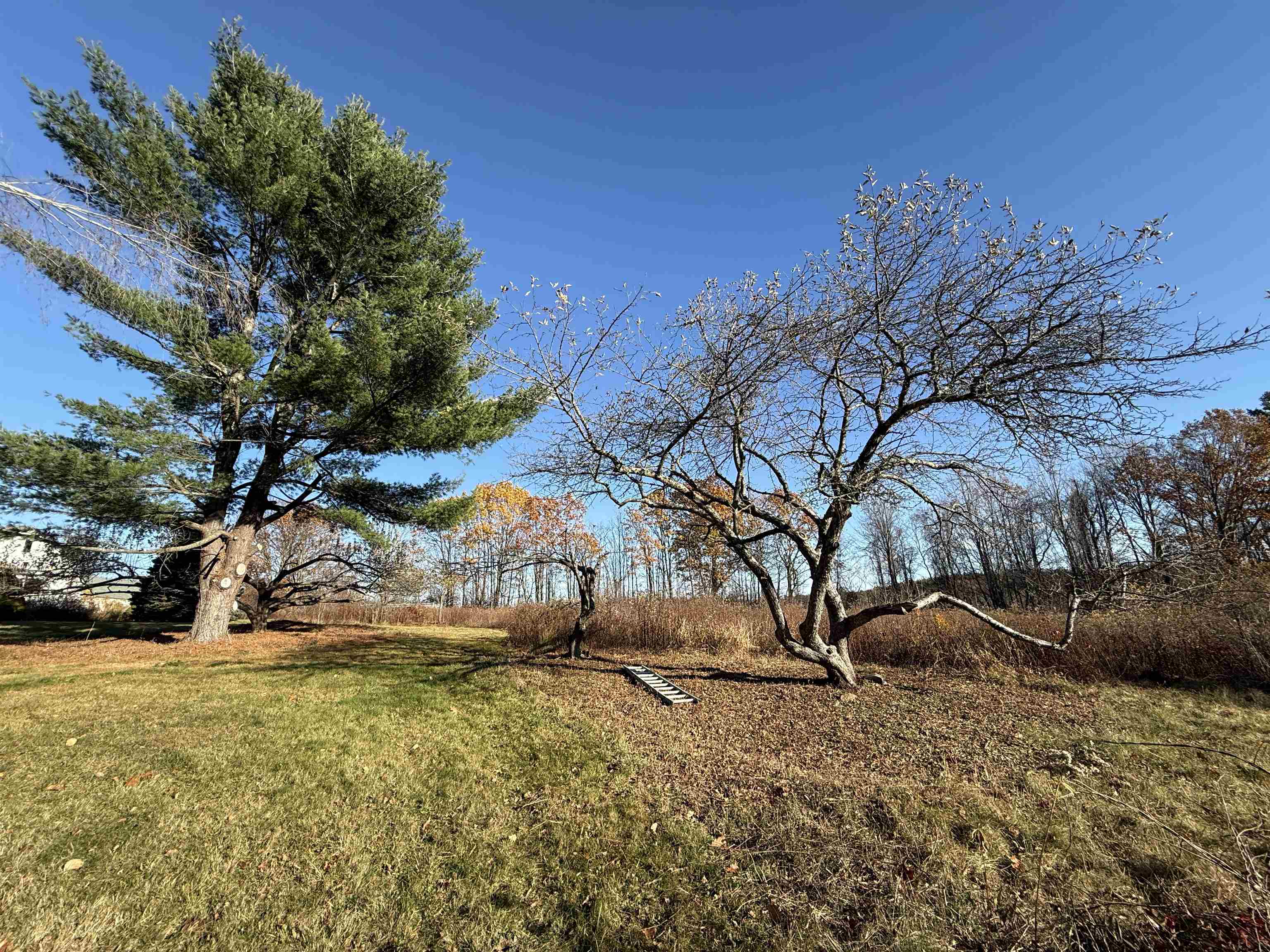 144 Putnam Hill Road Lyndeborough, NH 03082 - Photo 51 of 60