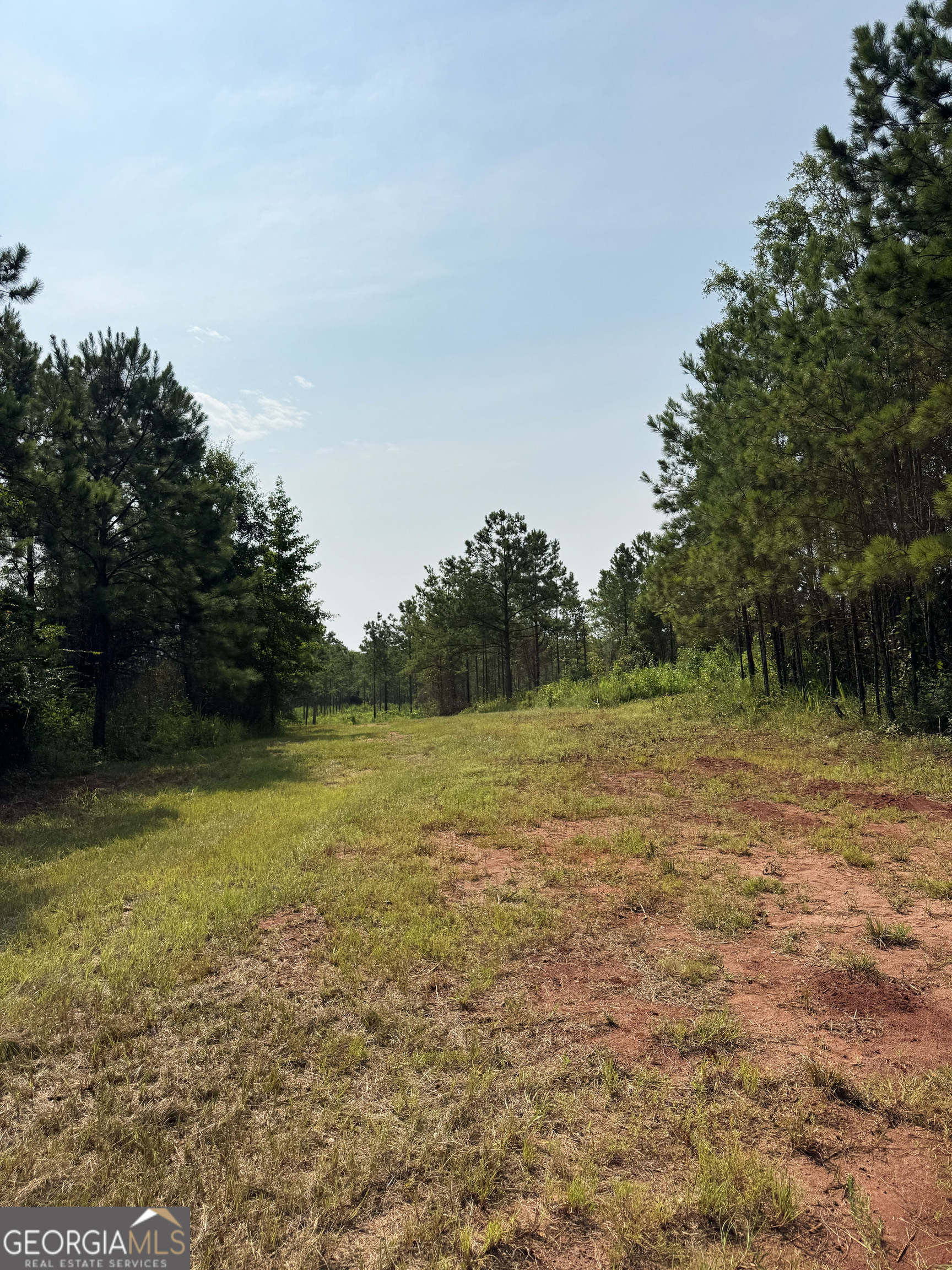 4066 Green Grove Road Lumpkin, GA 31815 - Photo 18 of 48 Gallery Image 18