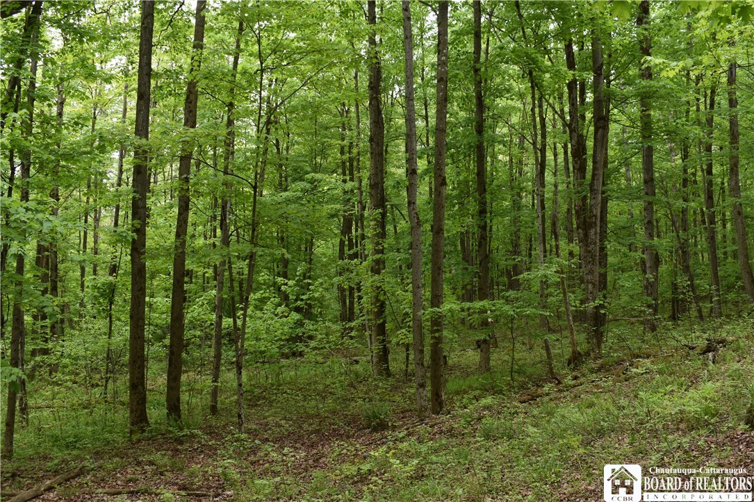 0 Harris Hollow Road Gerry, NY 14740 - Photo 18 of 23