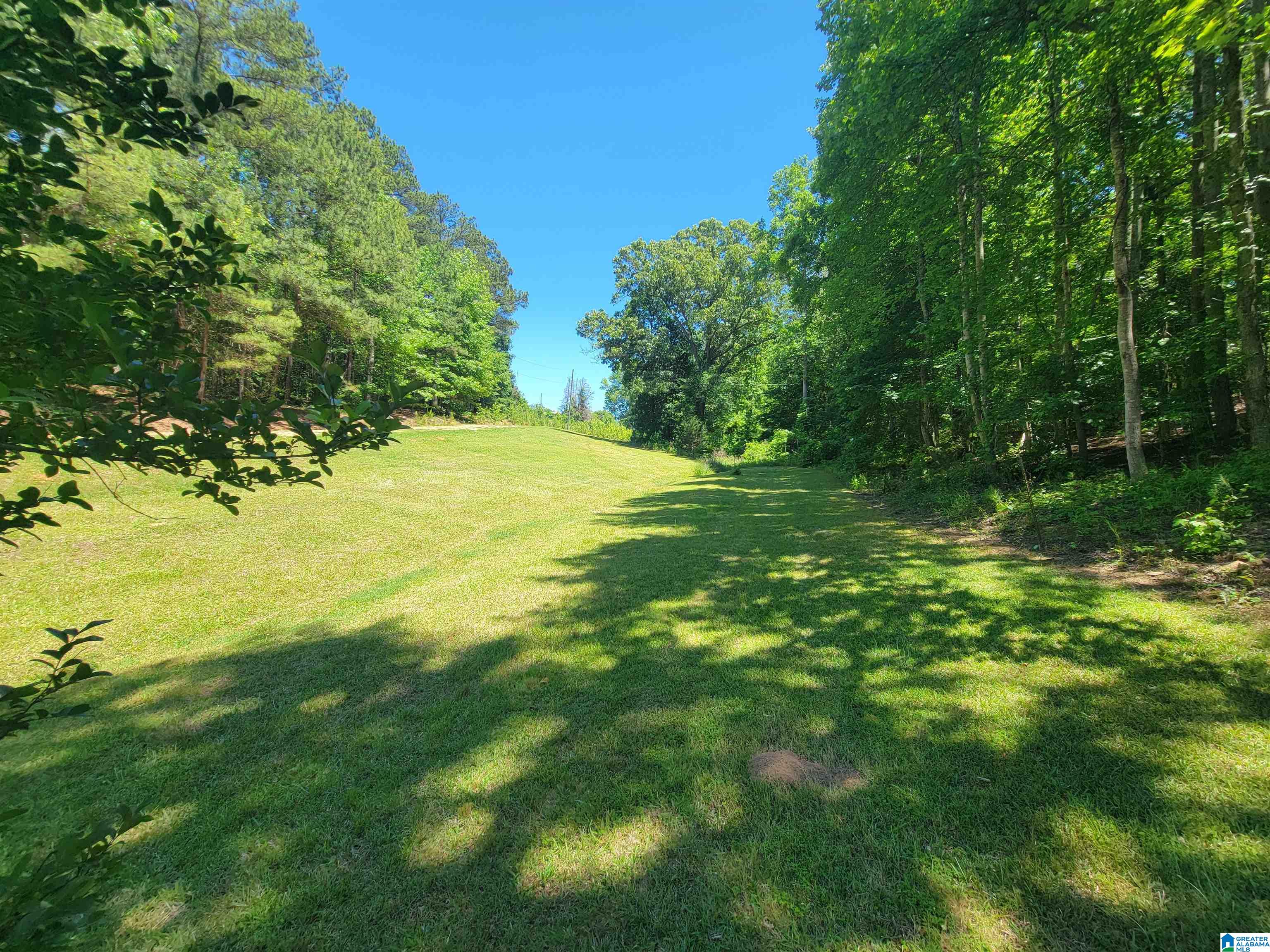 3156 Louina Road Roanoke, AL 36274 - Photo 37 of 37