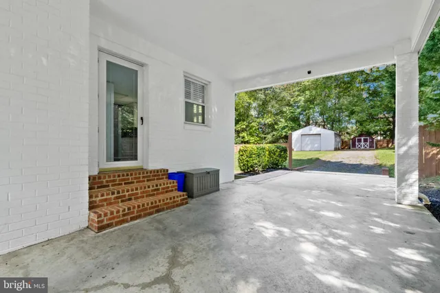 a view of a tree in a yard