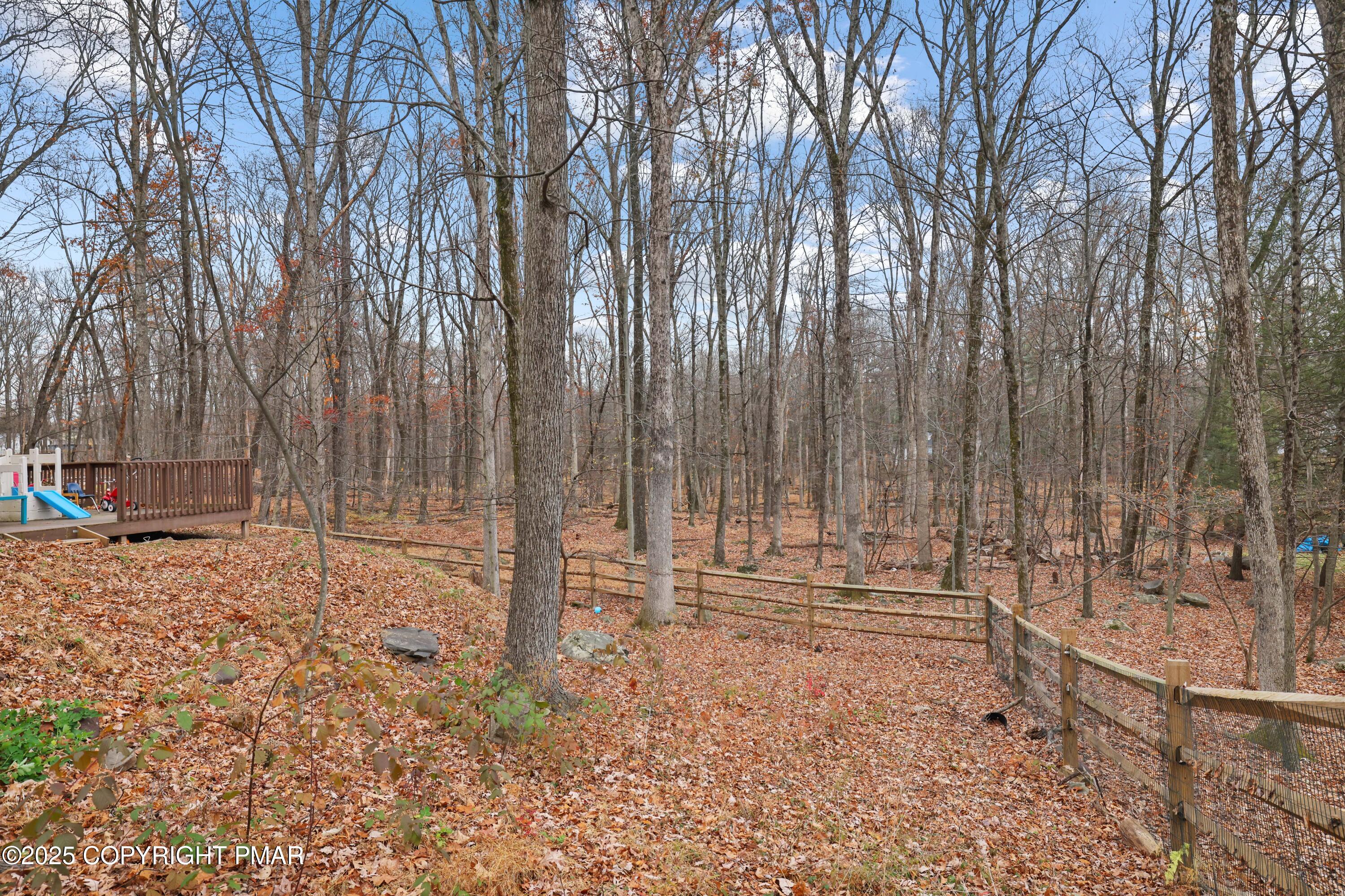 113 Hemlock Road Tannersville, PA 18372 - Photo 51 of 68 a backyard of a house with lots of green space