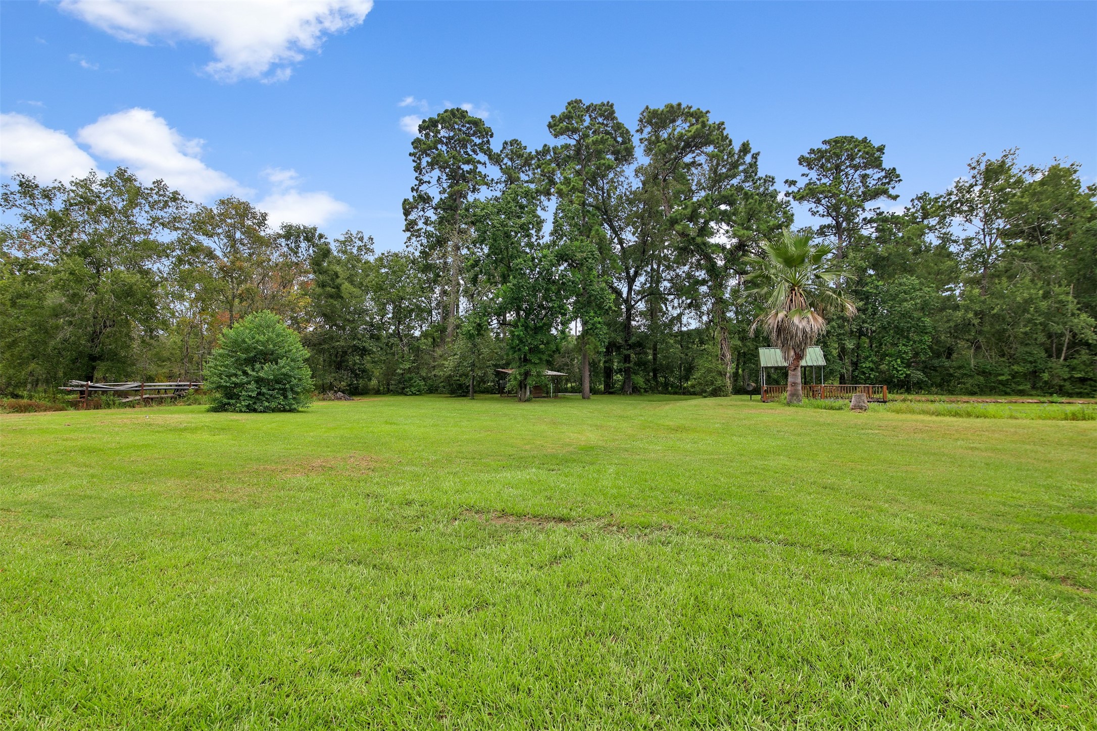 11692 Clark Lane Conroe, TX 77385 - Photo 26 of 35 Another view of the great space for a pool, play ground or animals just outside your backdoor.