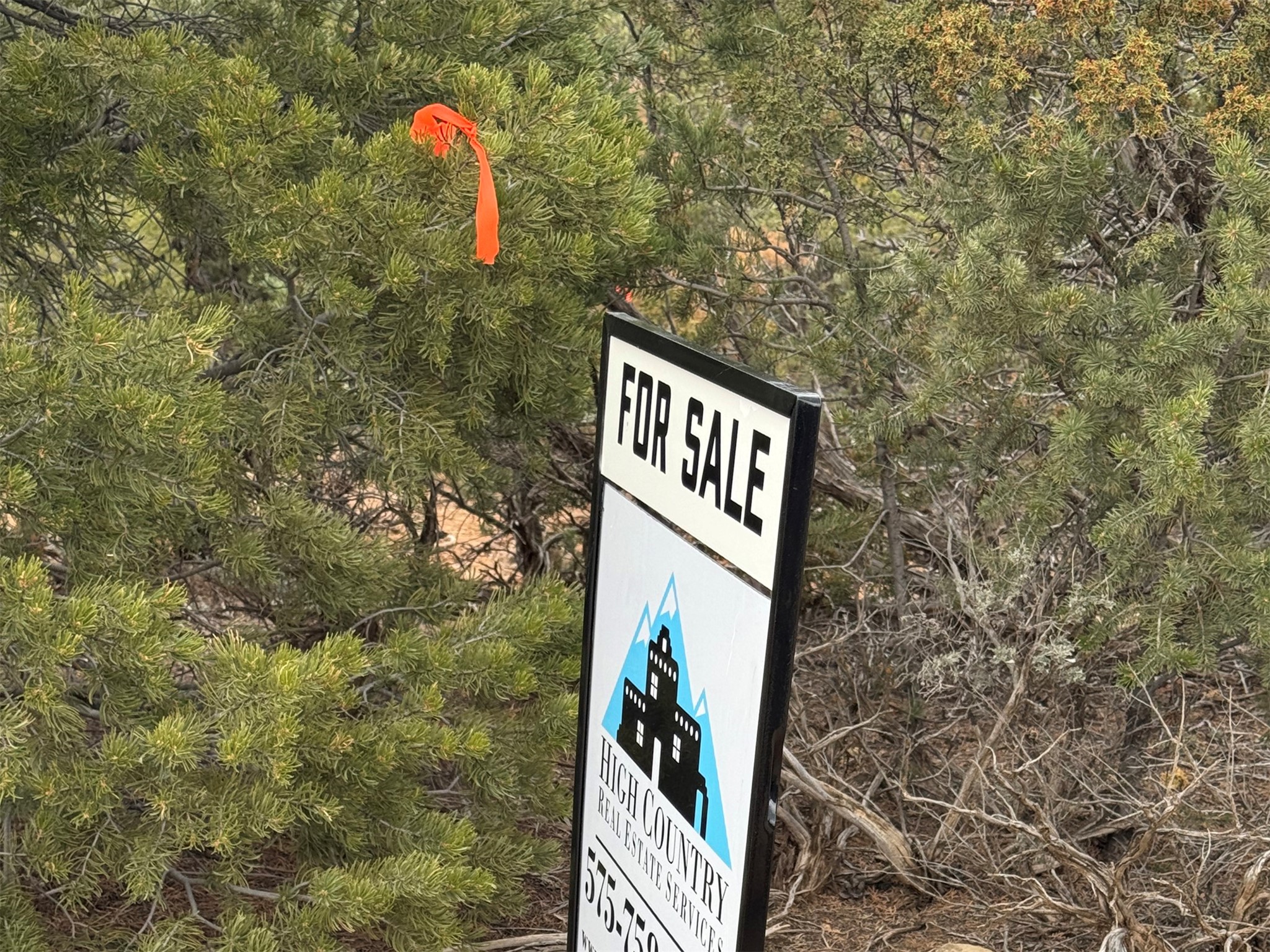 4 Verde Road Taos, NM 87571 - Photo 3 of 16