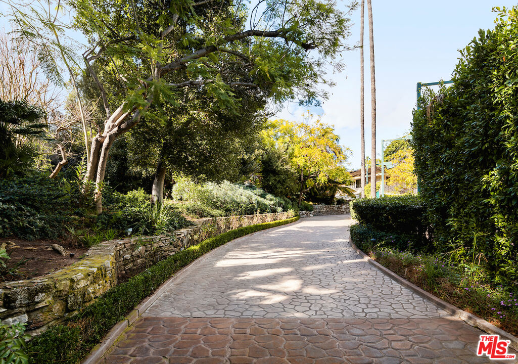 804 Walden Drive Beverly Hills, CA 90210 - Photo 4 of 12 a view of a back yard of the house