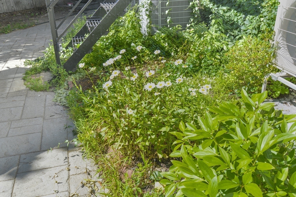 26 Grovenor Road, Unit 1 Boston, MA 02130 - Photo 19 of 23 Gallery Image 19