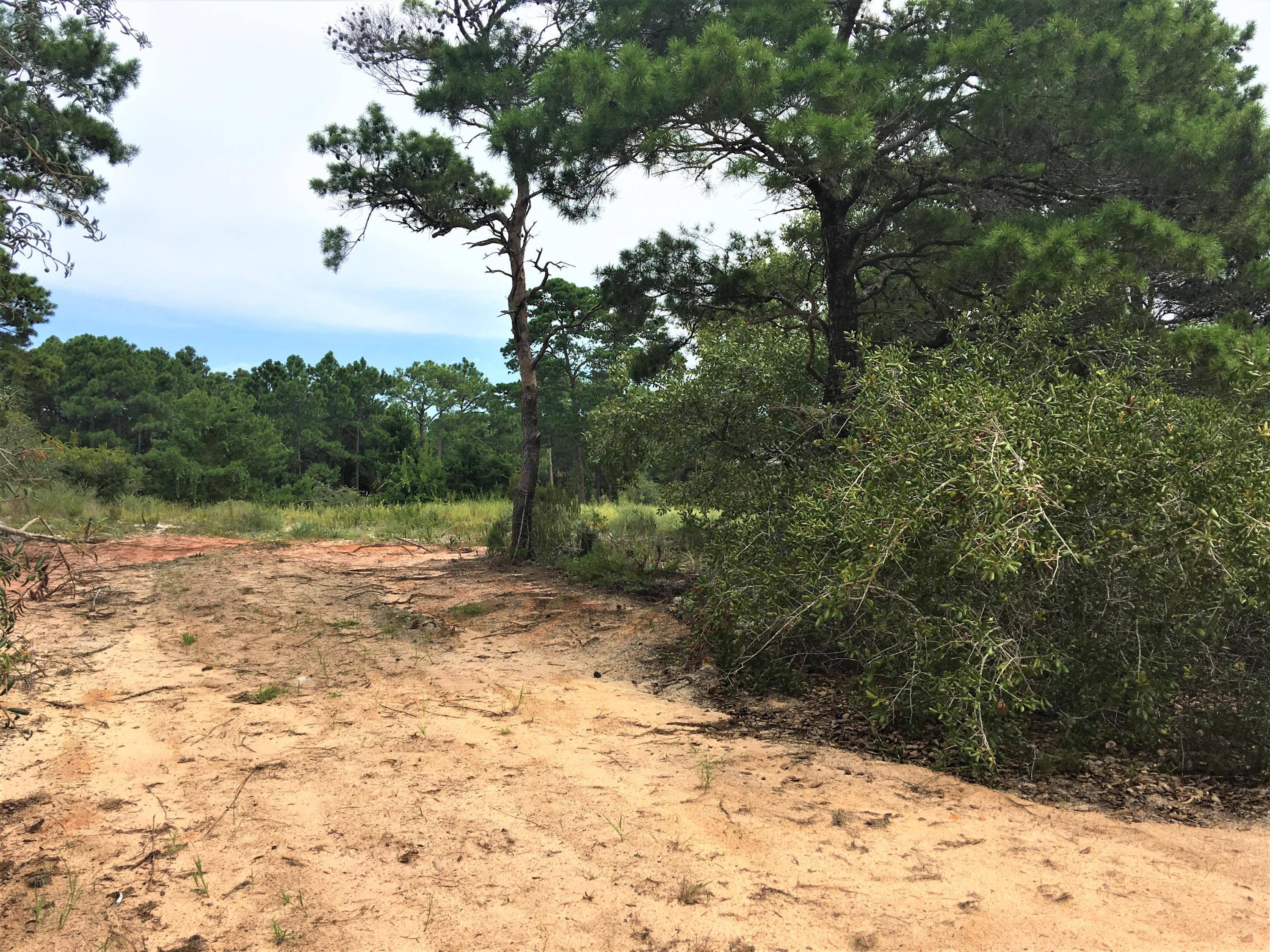 Lot 4 Fairway Santa Rosa Beach Santa Rosa Beach, FL 32459 - Photo 2 of 4 a view of a yard with a tree