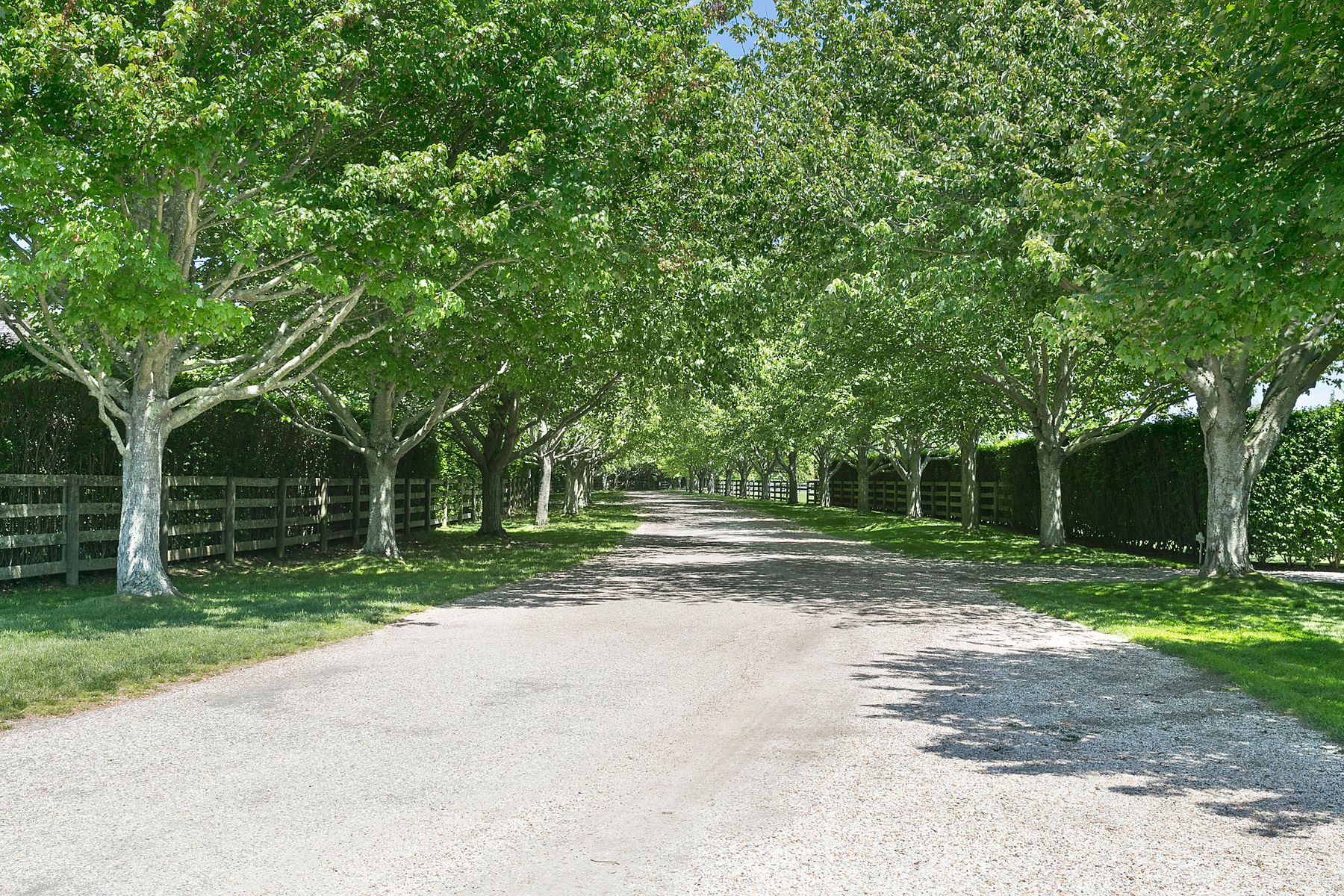 9 Morgan Hill Way Bridgehampton, NY 11932 - Photo 3 of 18 a view of a house with a big yard and large trees