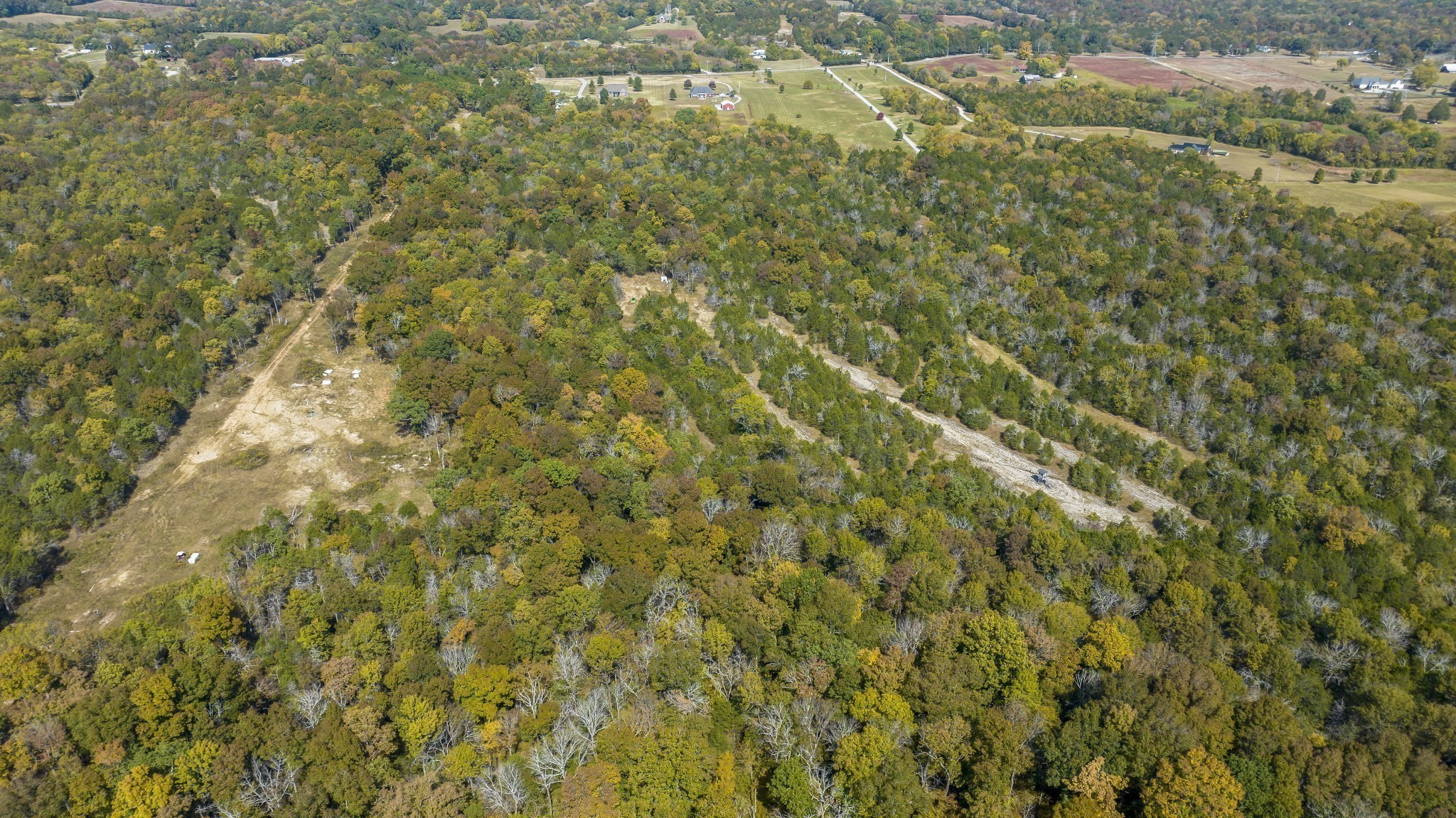 1930 Holly Grv Loop Lascassas, TN 37085 - Photo 4 of 5 a view of a yard