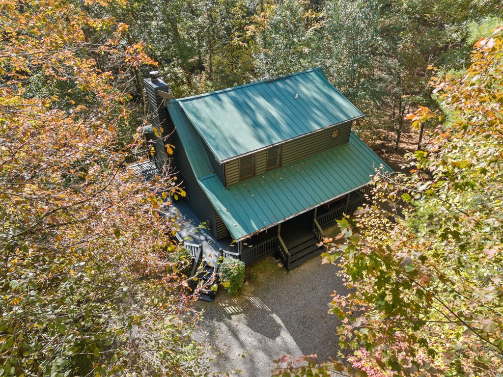389 Tall Timber Mountain Road Blue Ridge, GA 30513 - Photo 43 of 46