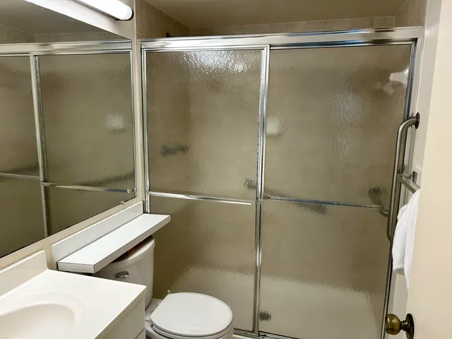 a bathroom with a shower and a toilet