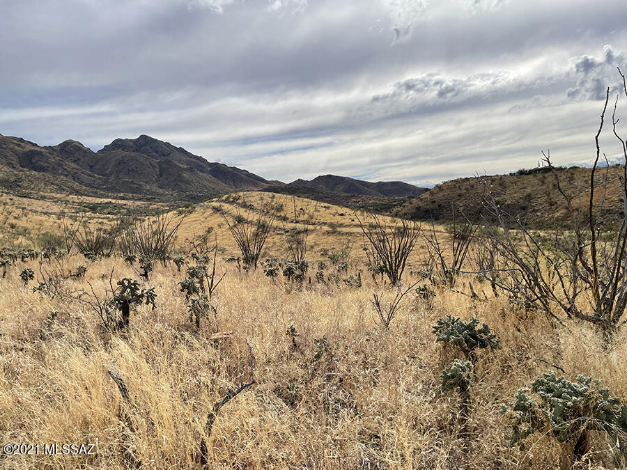 353 Dock Street, Unit 88 Rio Rico, AZ 85648 - Photo 4 of 6