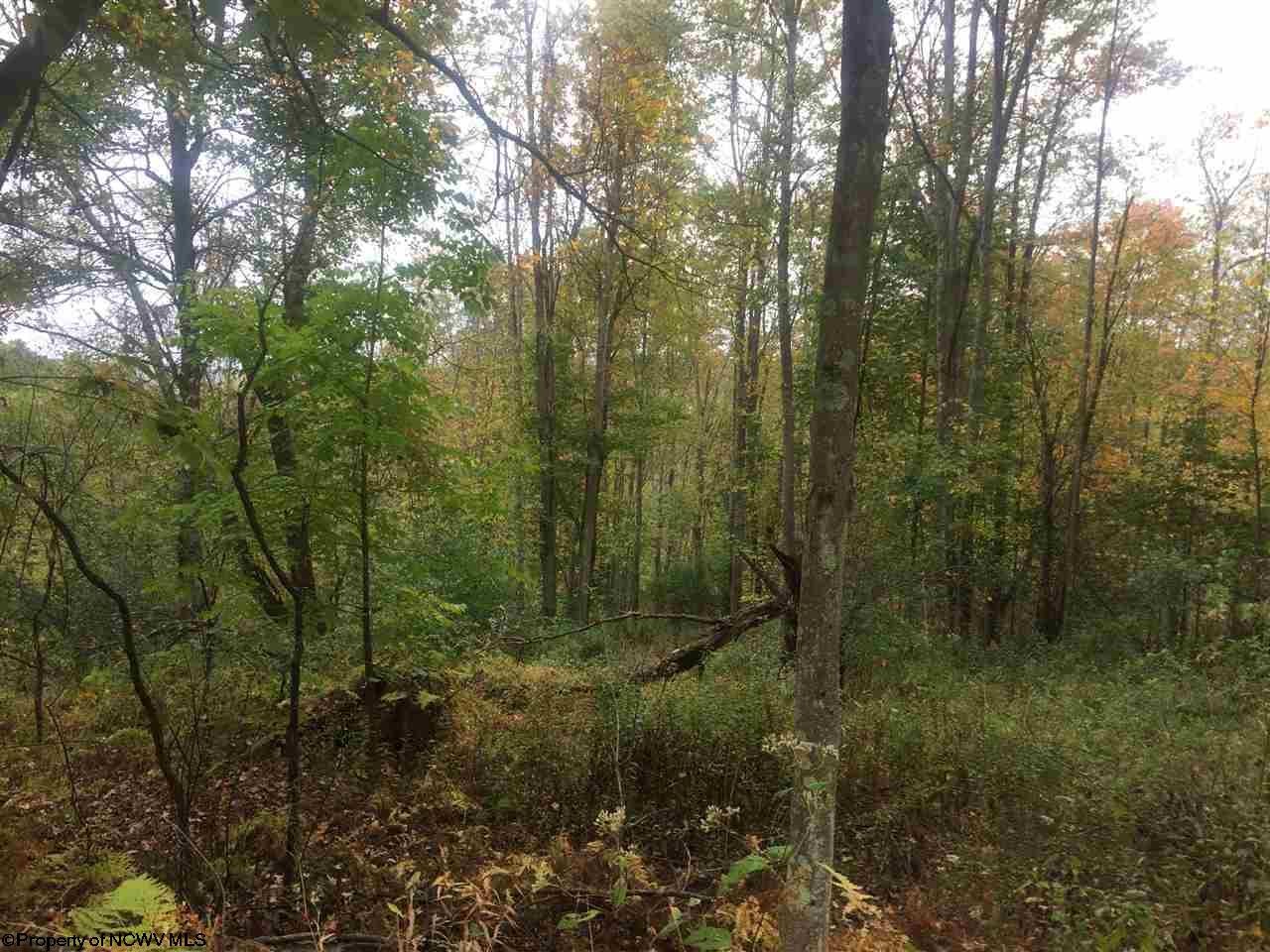 Tbd Mountain Run Road Masontown, WV 26542 - Photo 4 of 13 Gallery Image 4