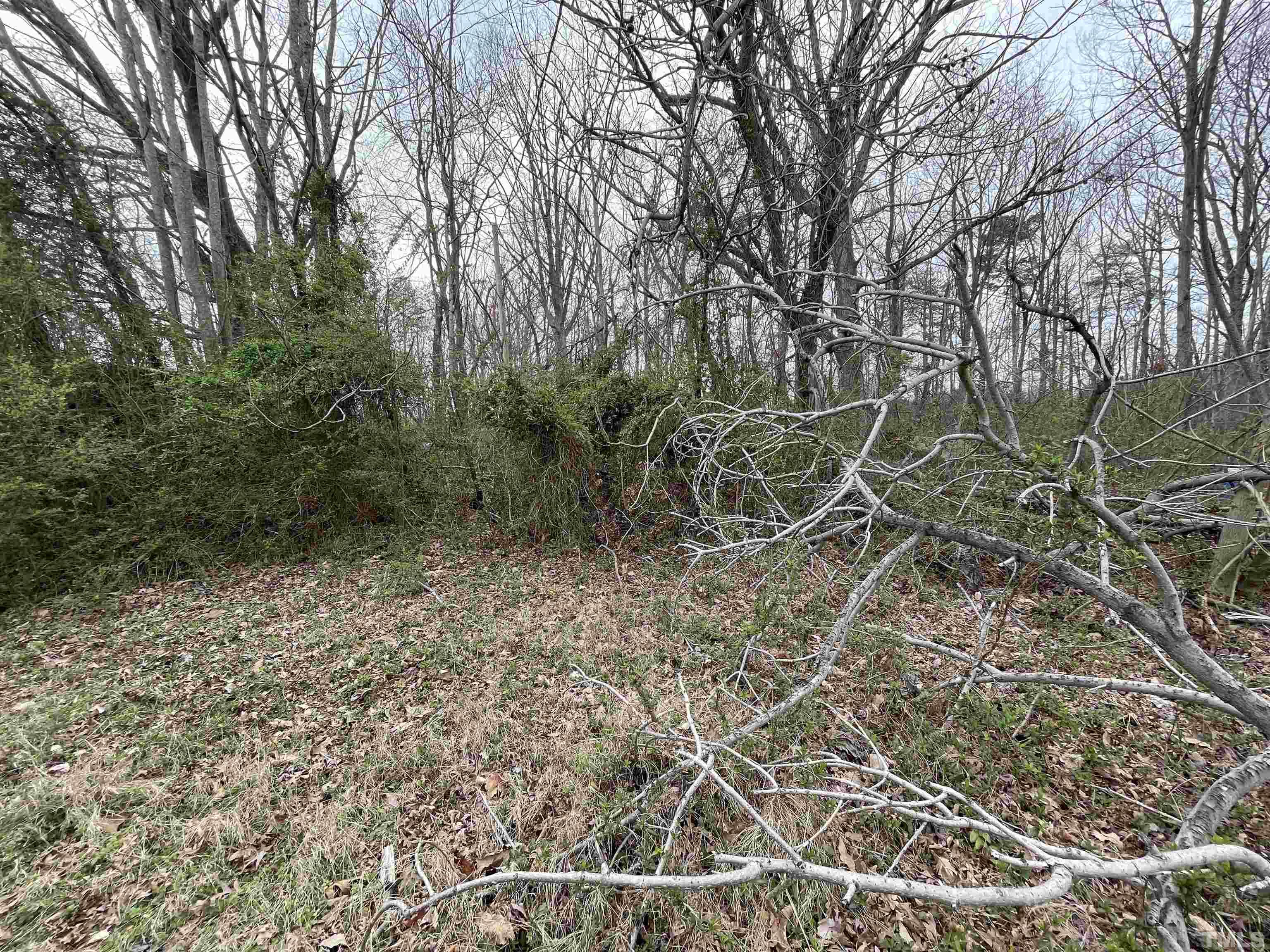 1465 Halifax Road Roxboro, NC 27573 - Photo 5 of 7 a view of a yard