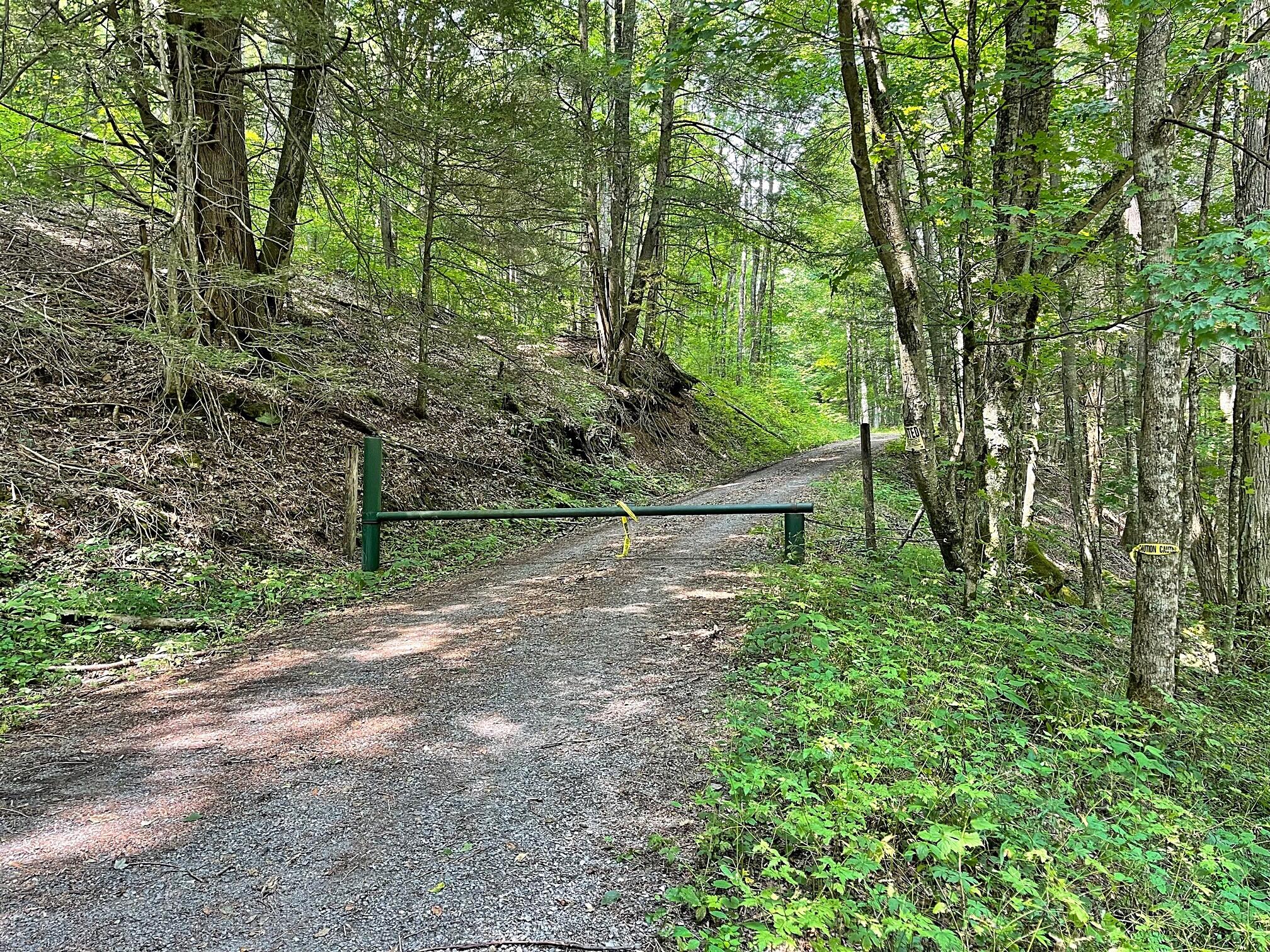 Lot D Dry Branch Road Slatyfork, WV 26291 - Photo 6 of 7 Gallery Image 6