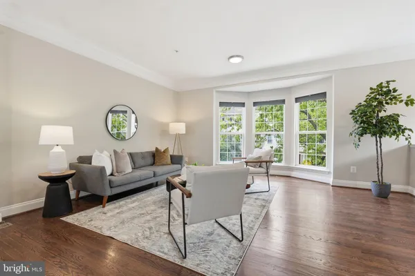 a living room with furniture a rug and a window