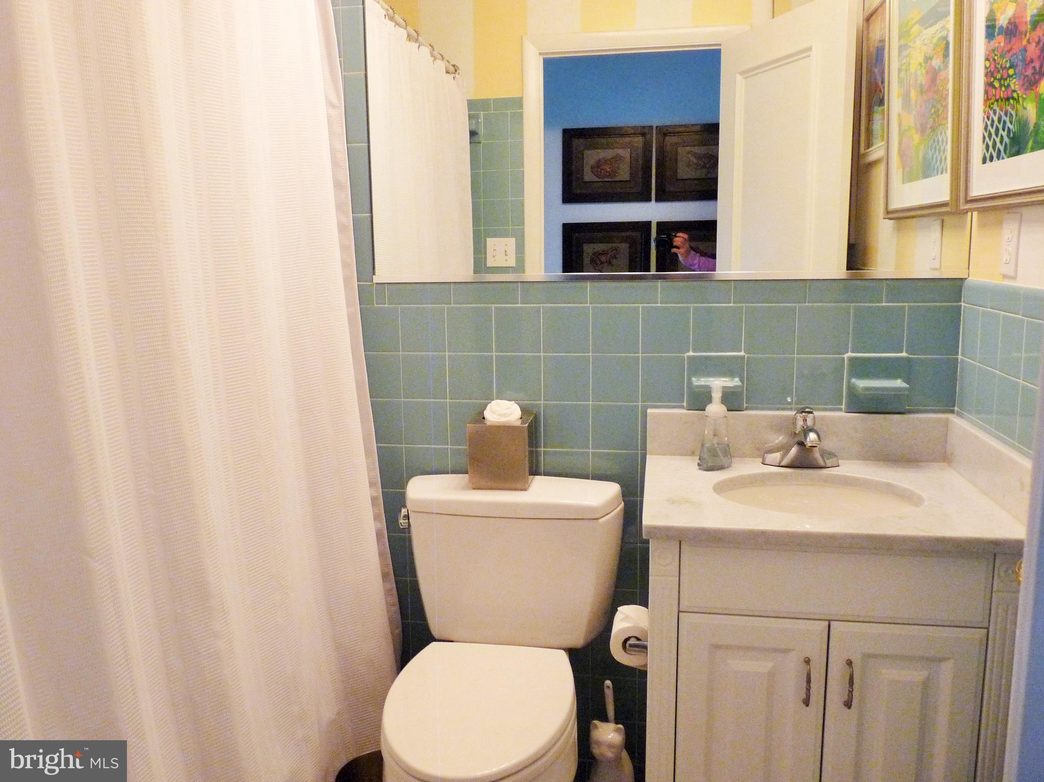 102 Point Road Stevensville, MD 21666 - Photo 24 of 41 Hall bathroom