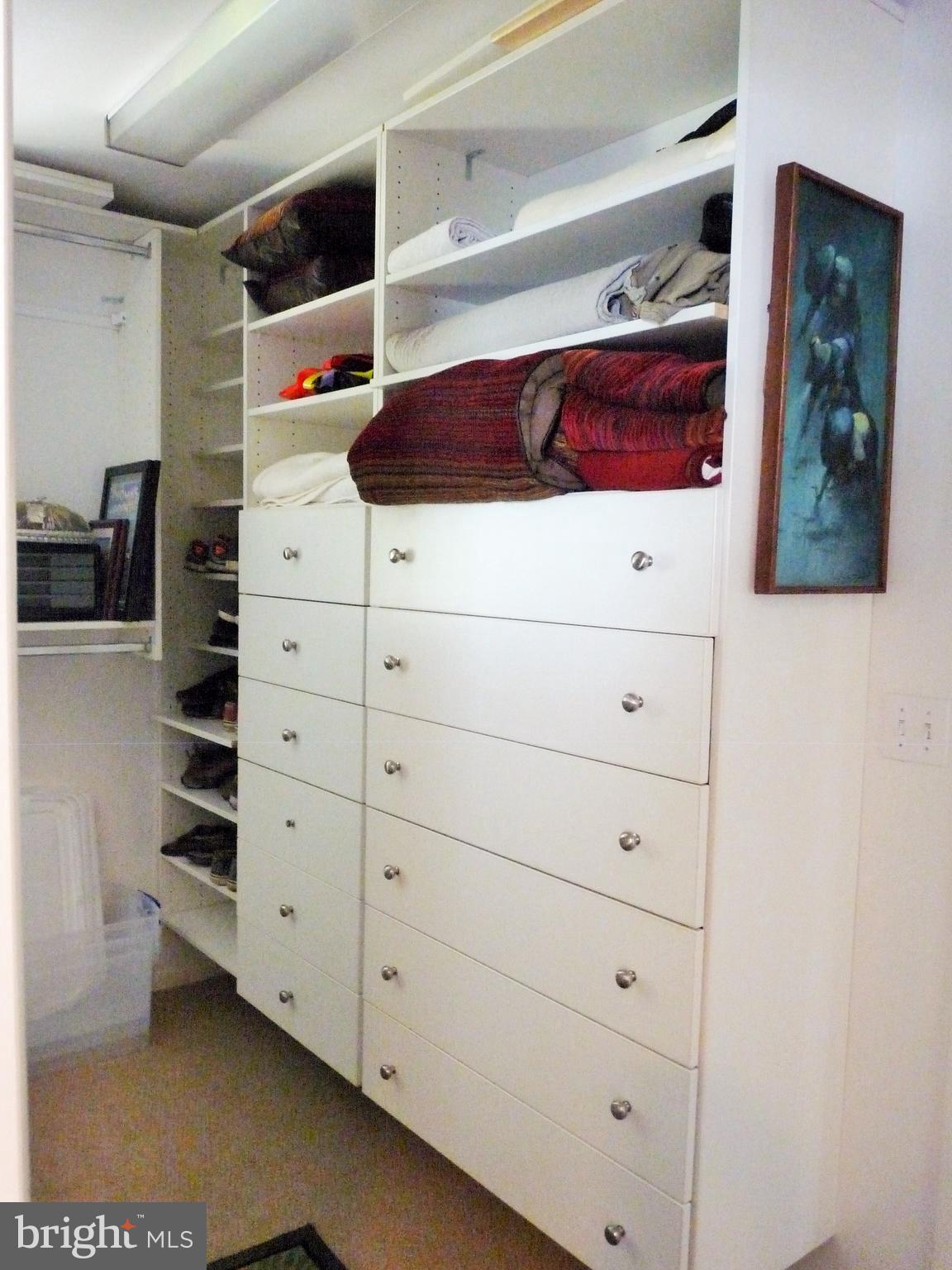 102 Point Road Stevensville, MD 21666 - Photo 30 of 41 Lots of storage in the walk in closet