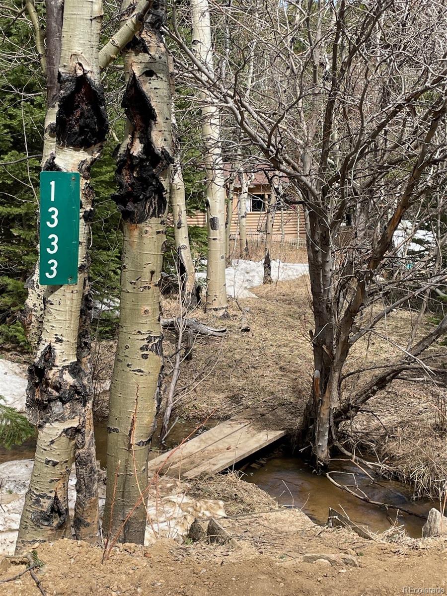 1333 County Road 100 Ward, CO 80481 - Photo 20 of 24