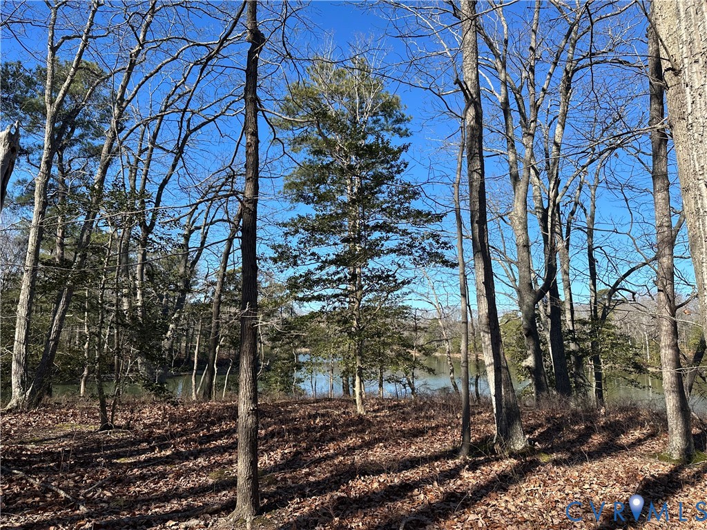 349 Taylors Beach Road Reedville, VA 22539 - Photo 8 of 18