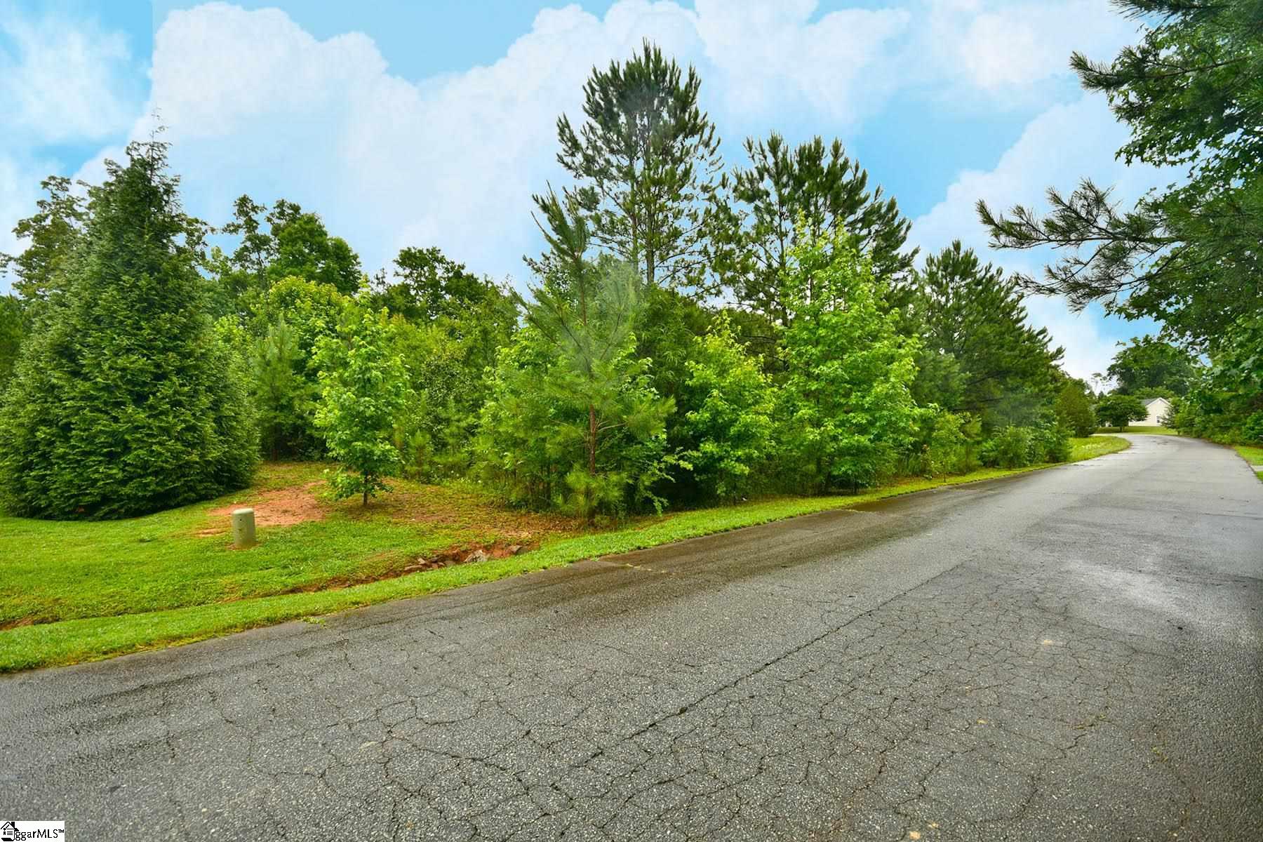 114 Soliel Way Pendleton, SC 29670 - Photo 28 of 29