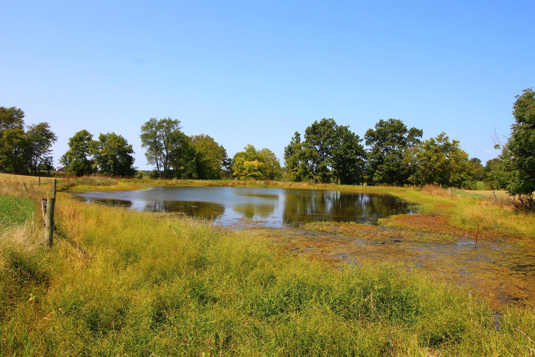 70 Flood Road Shelbyville, KY 40065 - Photo 3 of 4 Shared Pond
