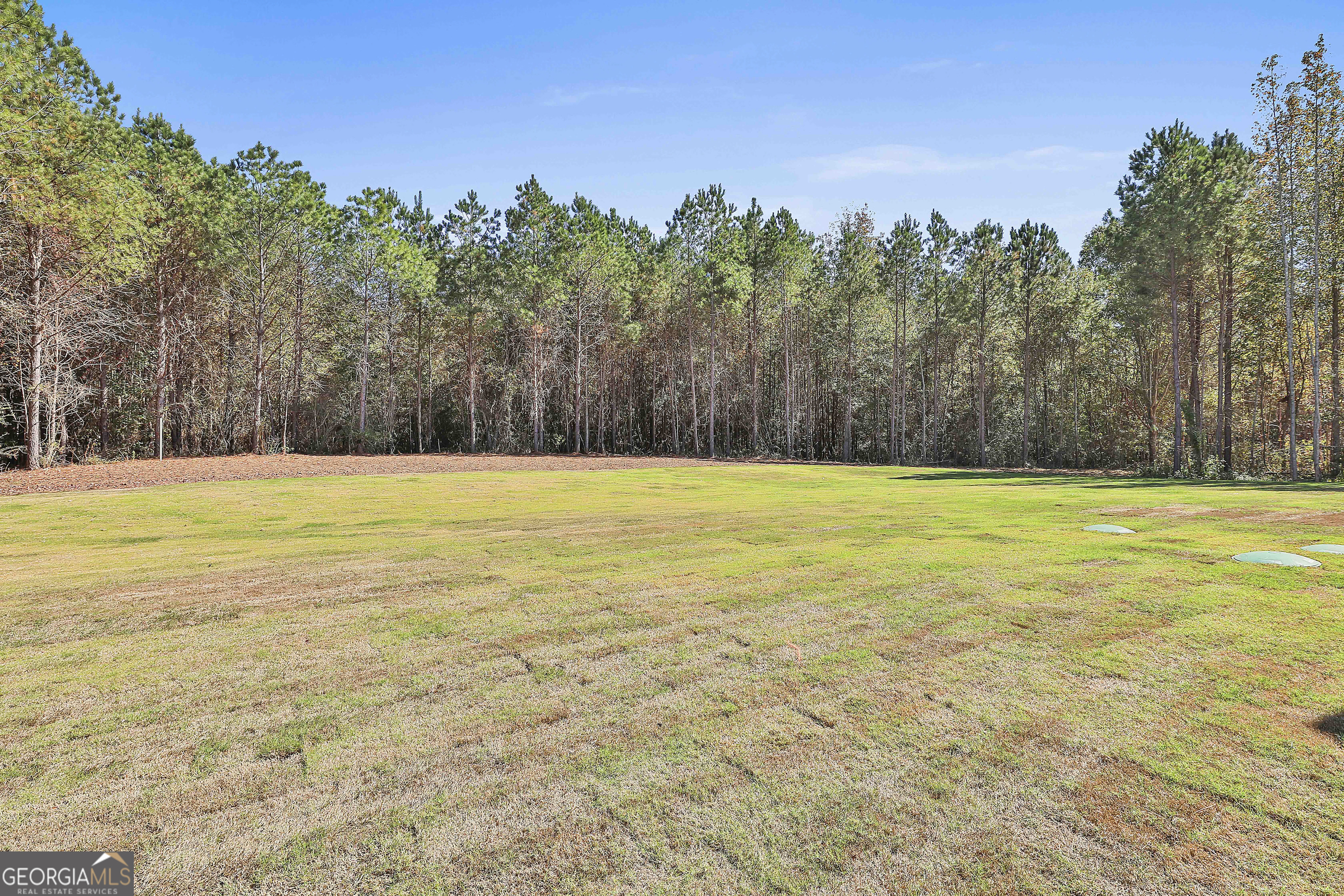 779 Alex Stephens Road Moreland, GA 30259 - Photo 52 of 54 a view of an ocean and trees