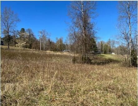 0 Kings Hill Road Spring City, TN 37381 - Photo 1 of 1 Kings Hill