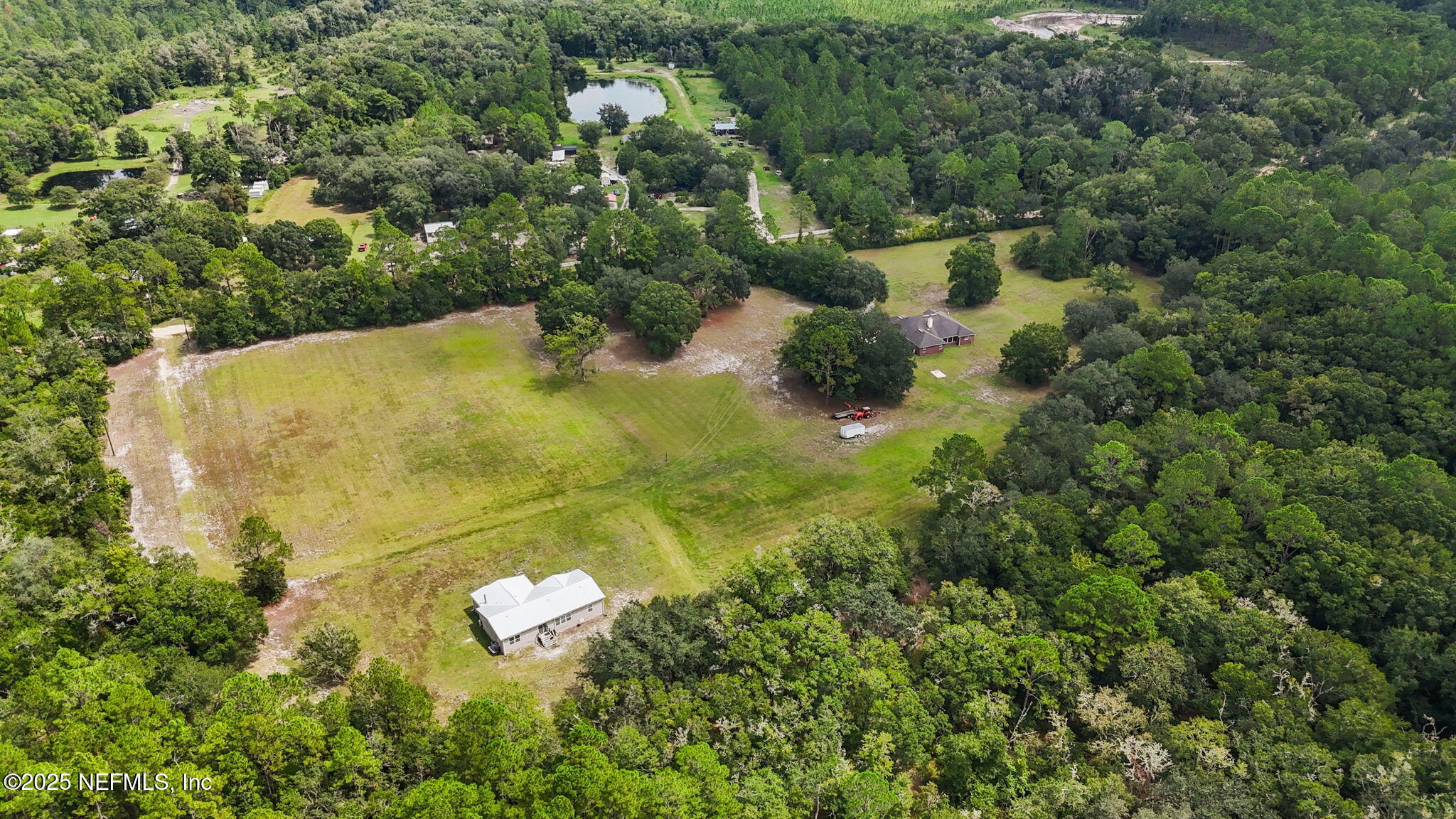 2064 Louie Carter Road Jacksonville, FL 32234 - Photo 12 of 46 a close up of a plant in a garden