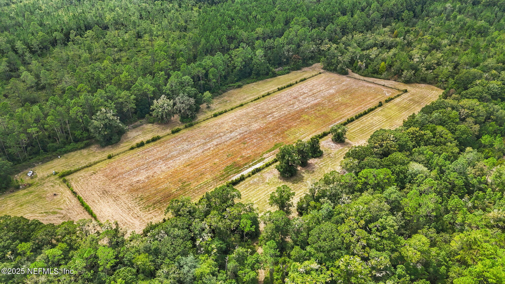 2064 Louie Carter Road Jacksonville, FL 32234 - Photo 13 of 46 a view of a yard