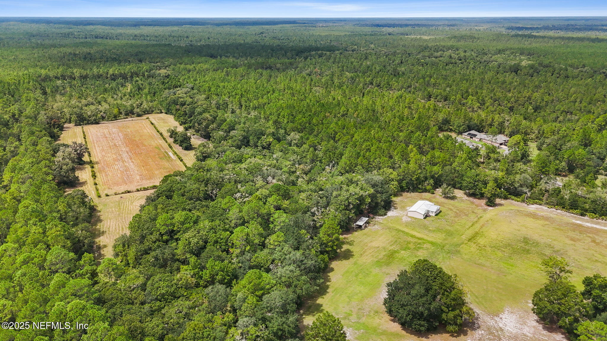 2064 Louie Carter Road Jacksonville, FL 32234 - Photo 15 of 46 a view of a yard
