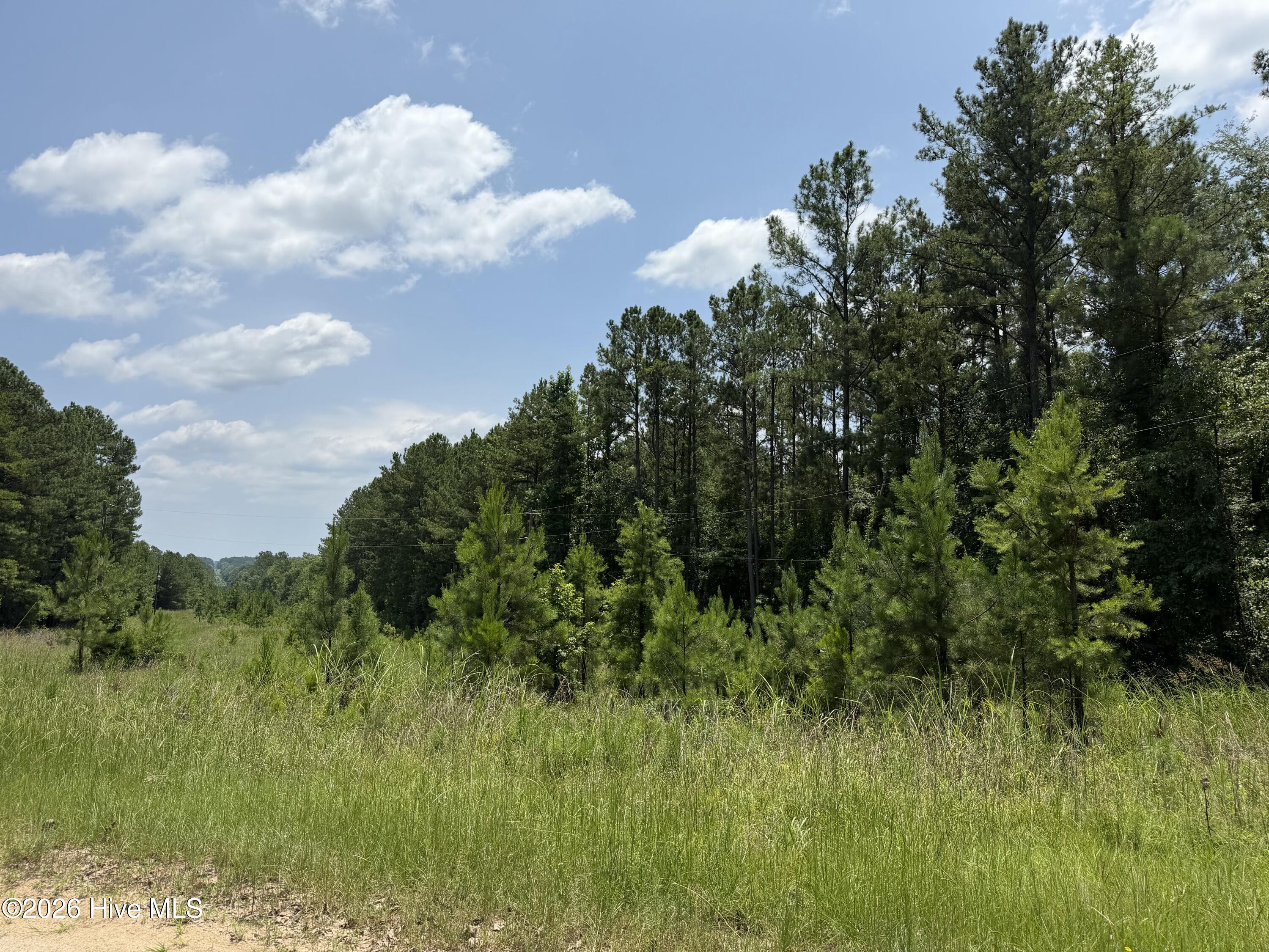 0 Burks Mountain Road Appling, GA 30802 - Photo 3 of 3