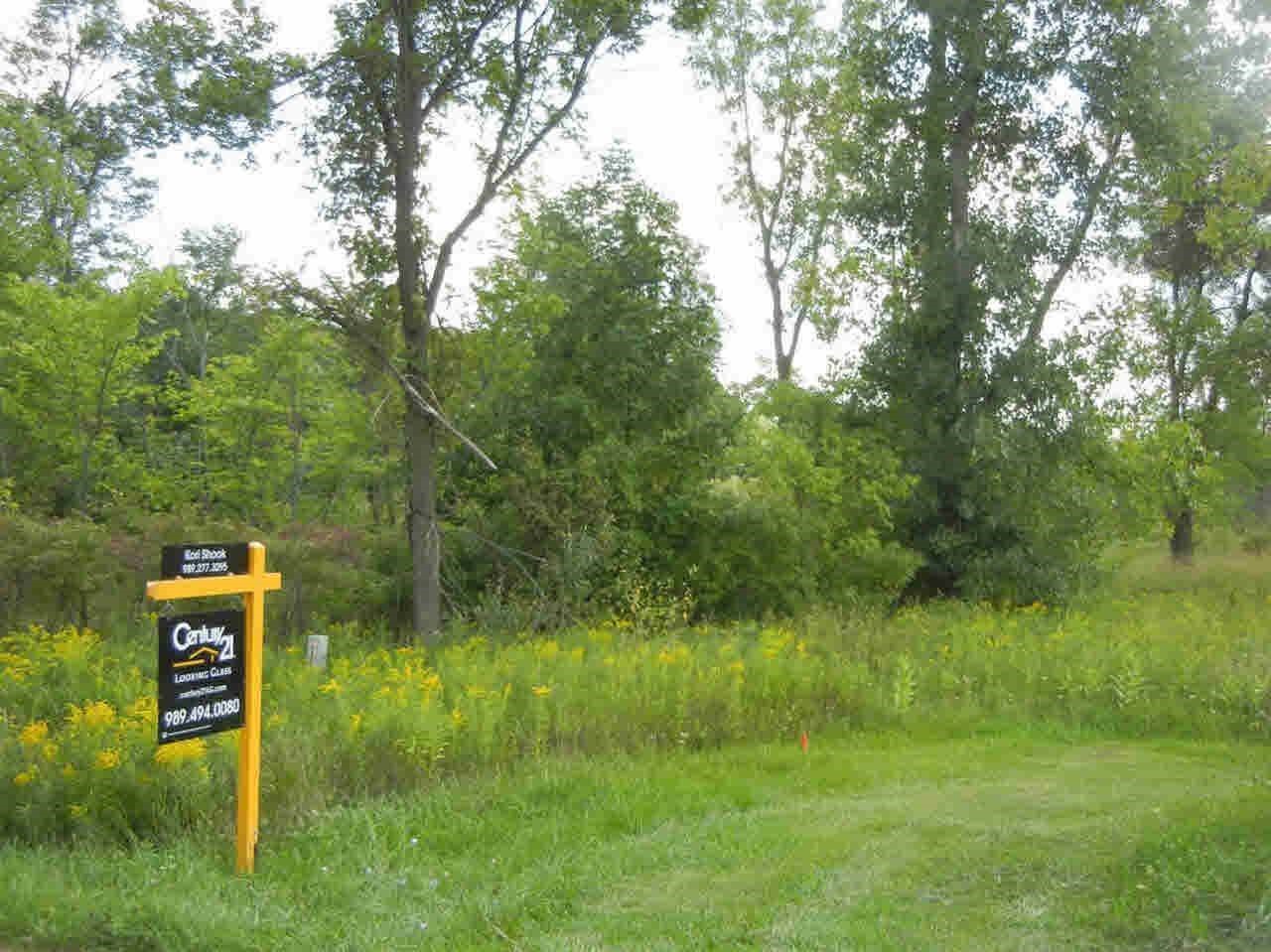 0 Brewer Road Owosso, MI 48867 - Photo 1 of 3
