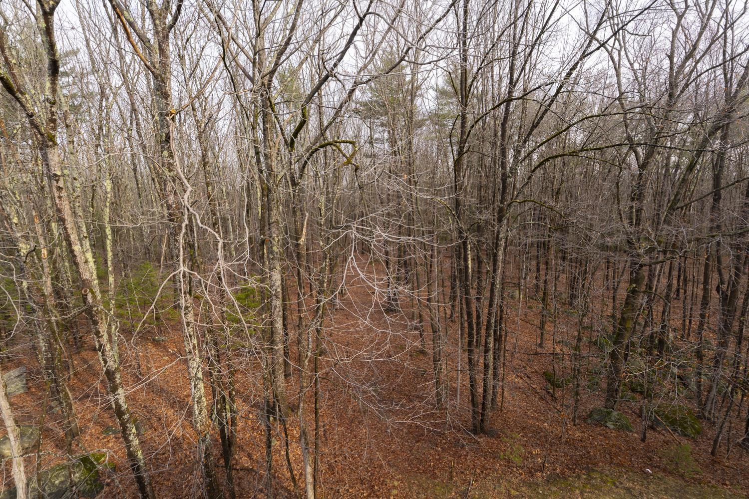 39 Ernest Avenue, Unit 308 Exeter, NH 03833 - Photo 21 of 26