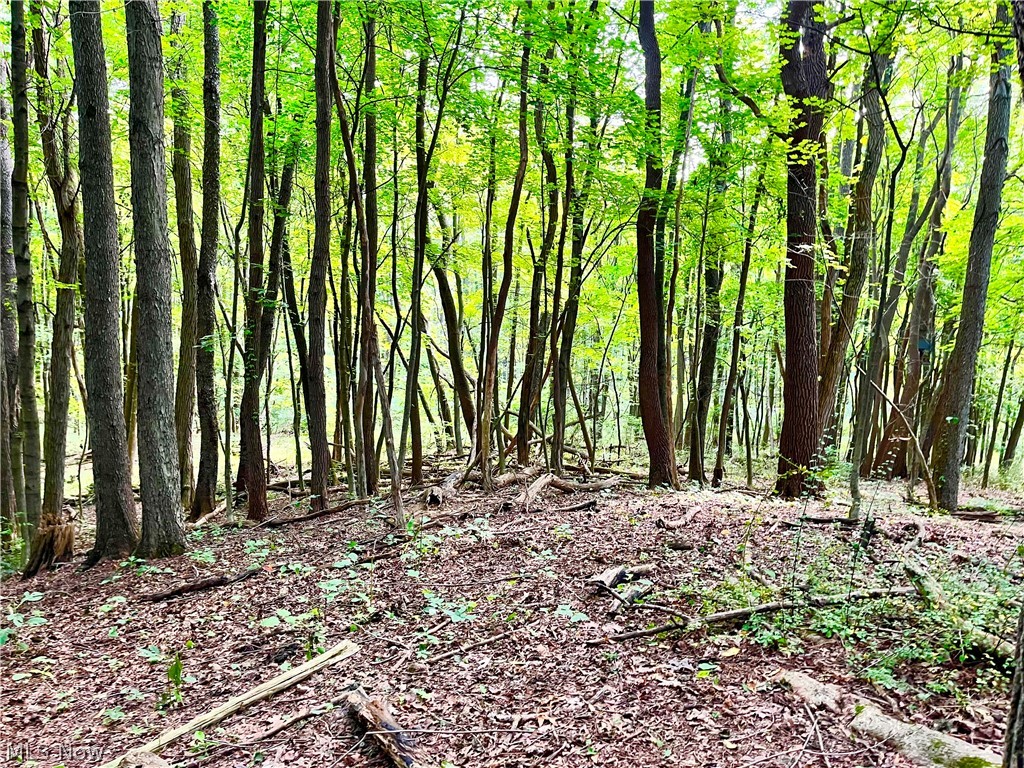 295 North Medina Line Road Akron, OH 44333 - Photo 8 of 17