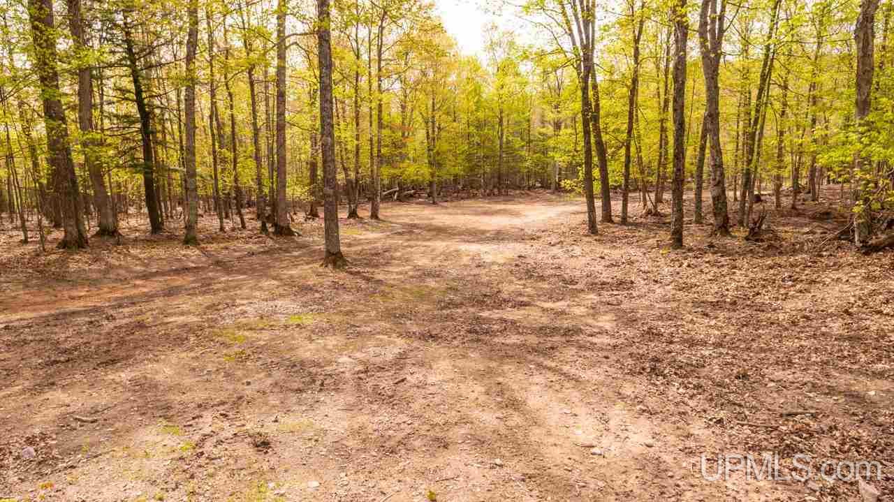 324 East County Road Negaunee, MI 49866 - Photo 34 of 35